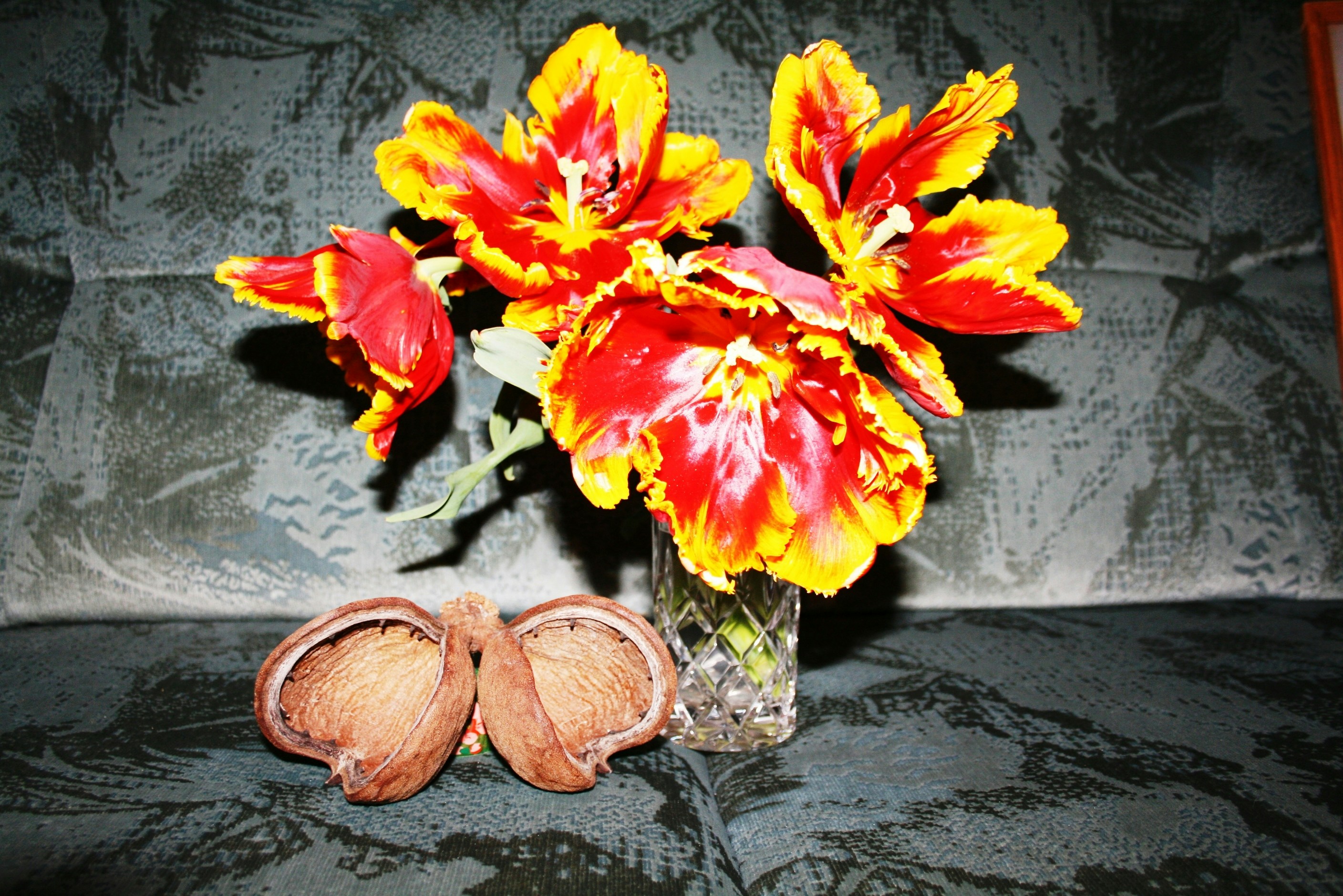 Free Unsplash photo from Marina Fasler