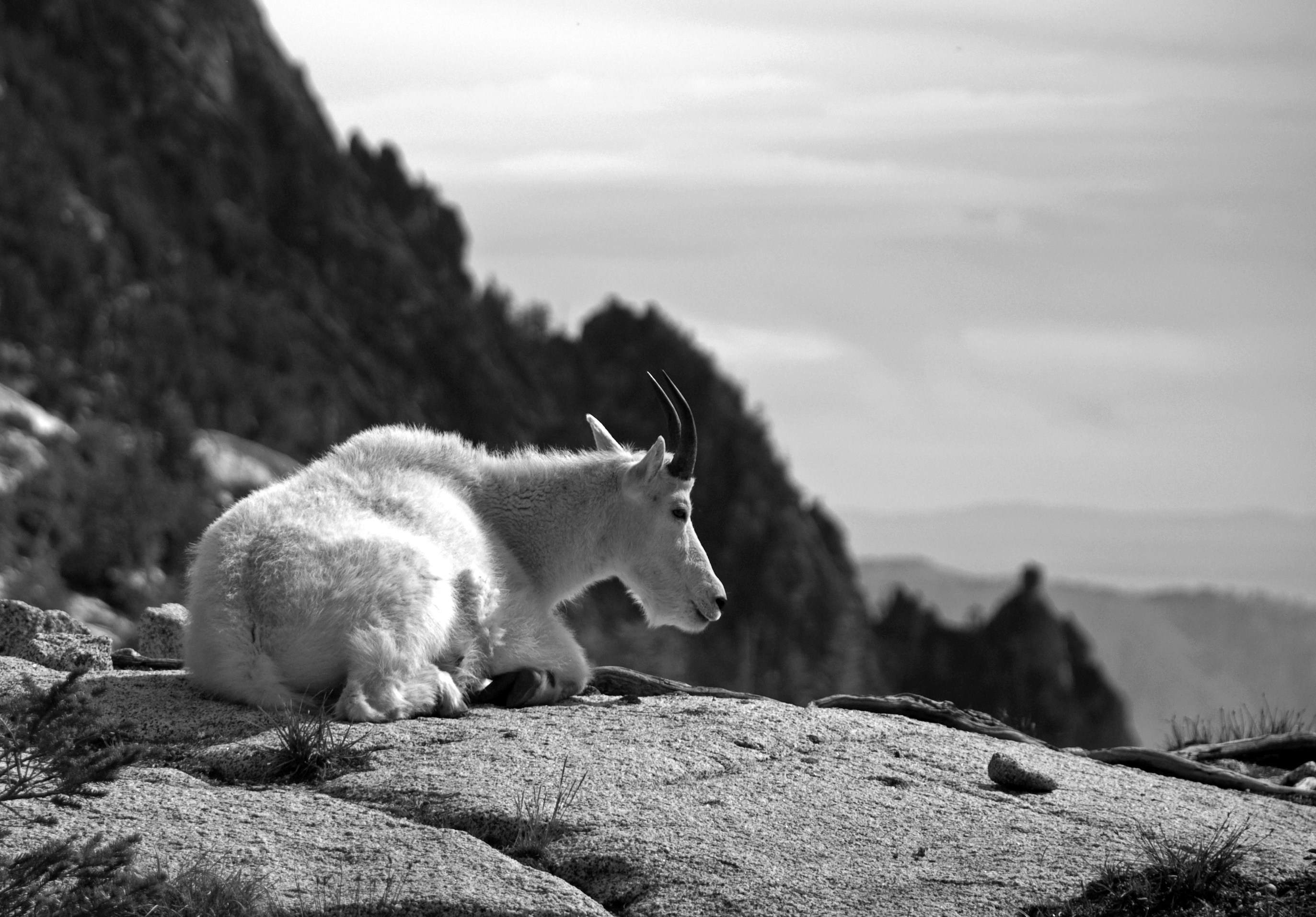 Free Unsplash photo from Levi Rippy