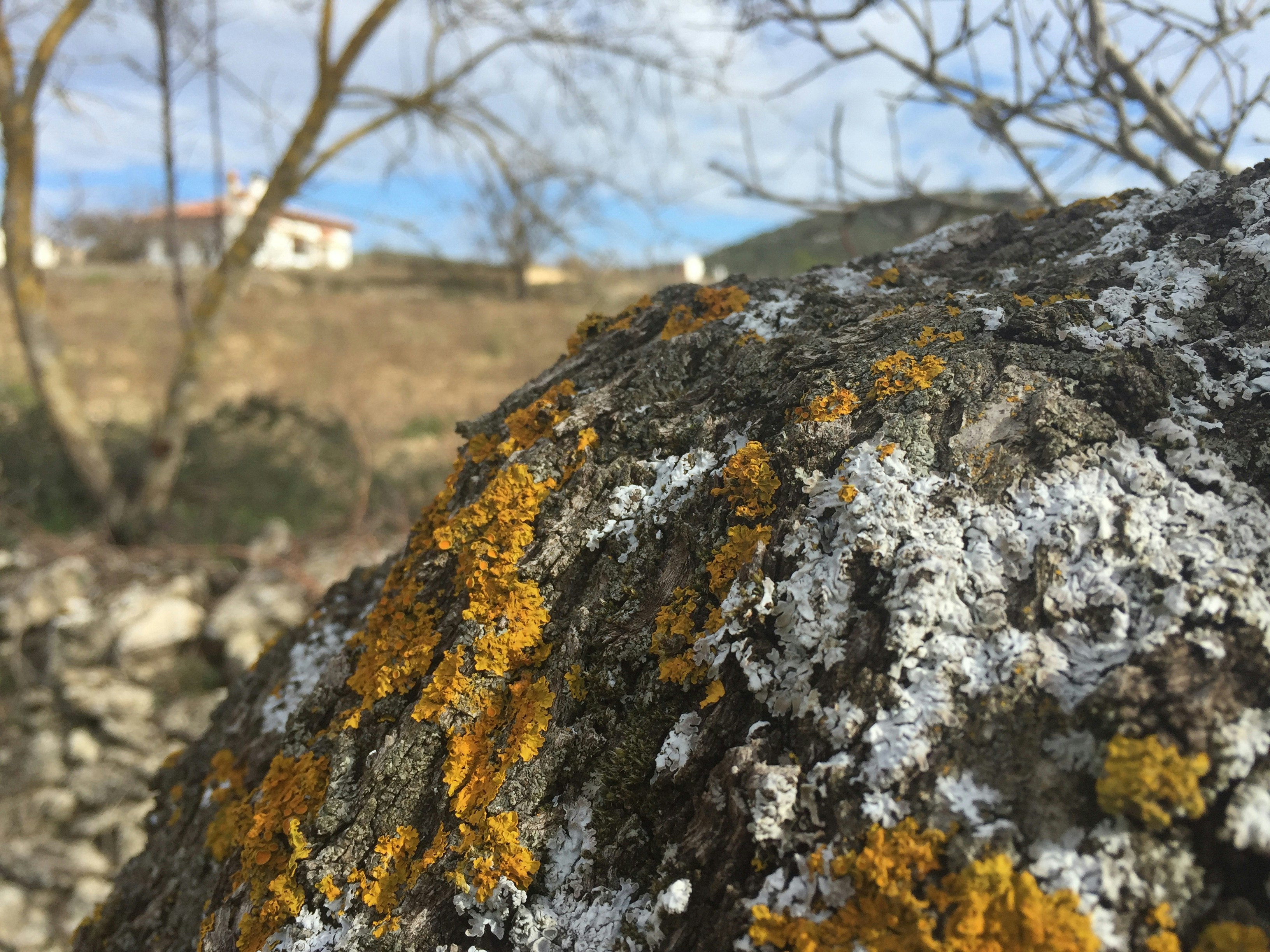 Free Unsplash photo from hugo saiz