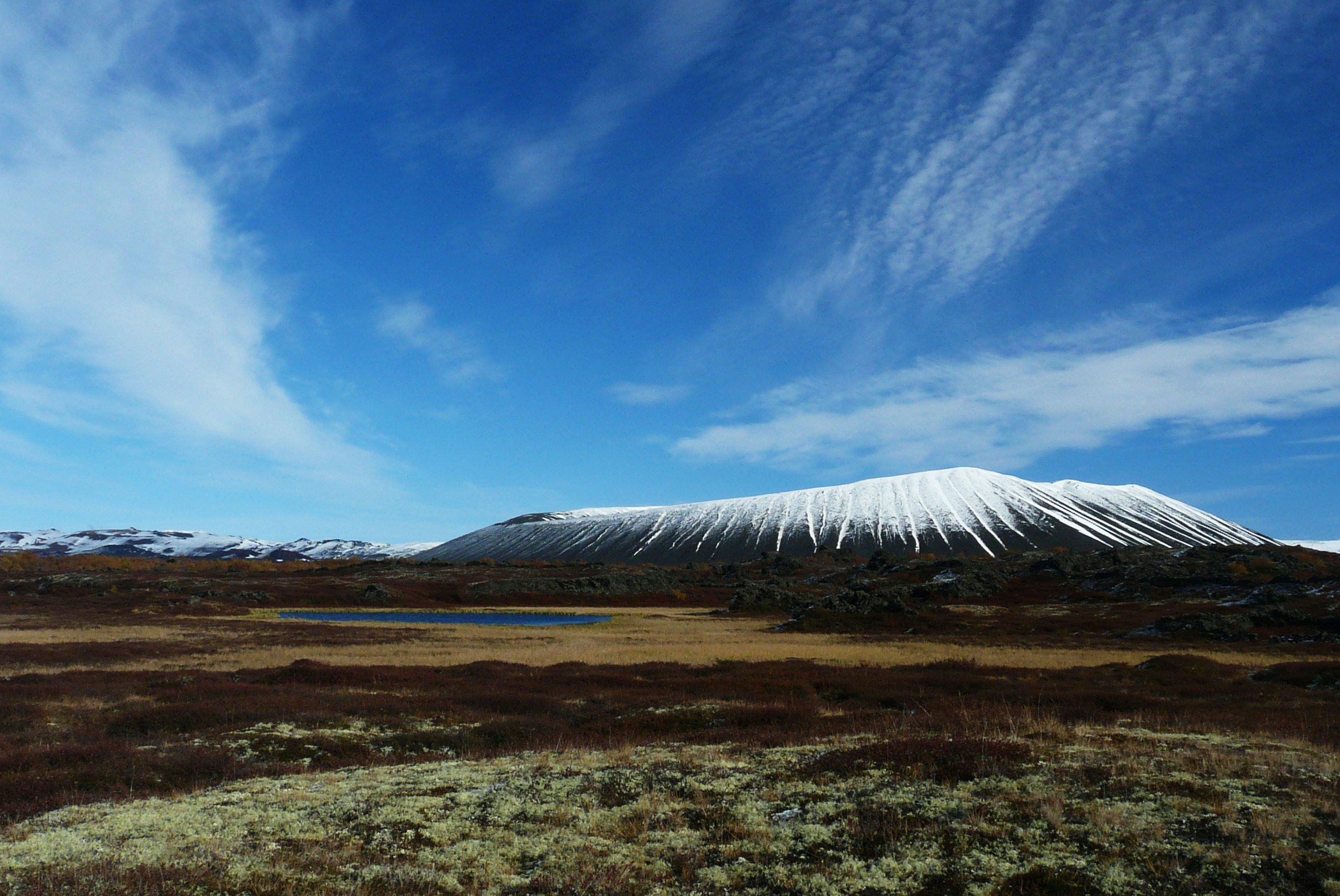 Free Unsplash photo from Tamara Ferjan Stanič