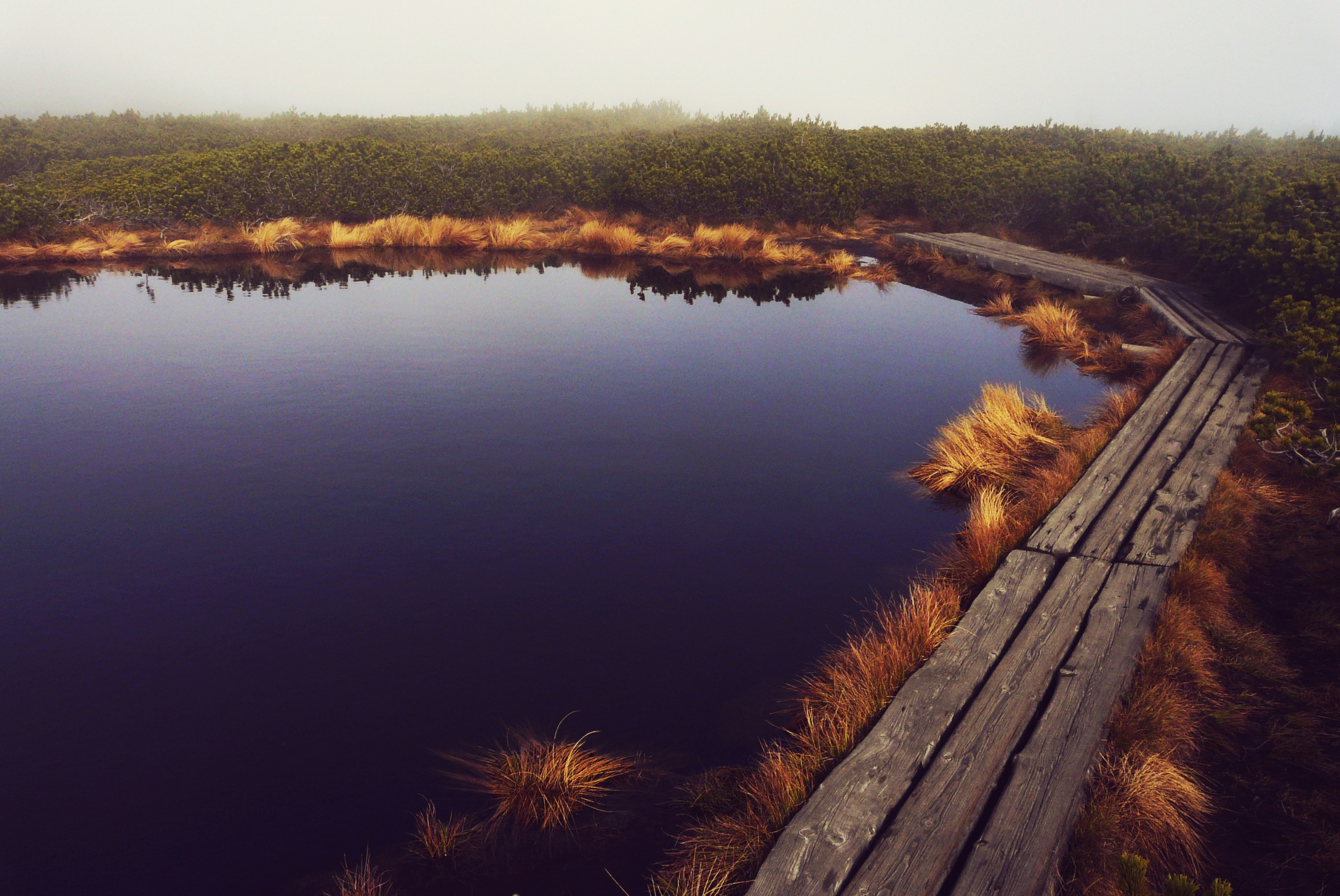 Free Unsplash photo from Tamara Ferjan Stanič