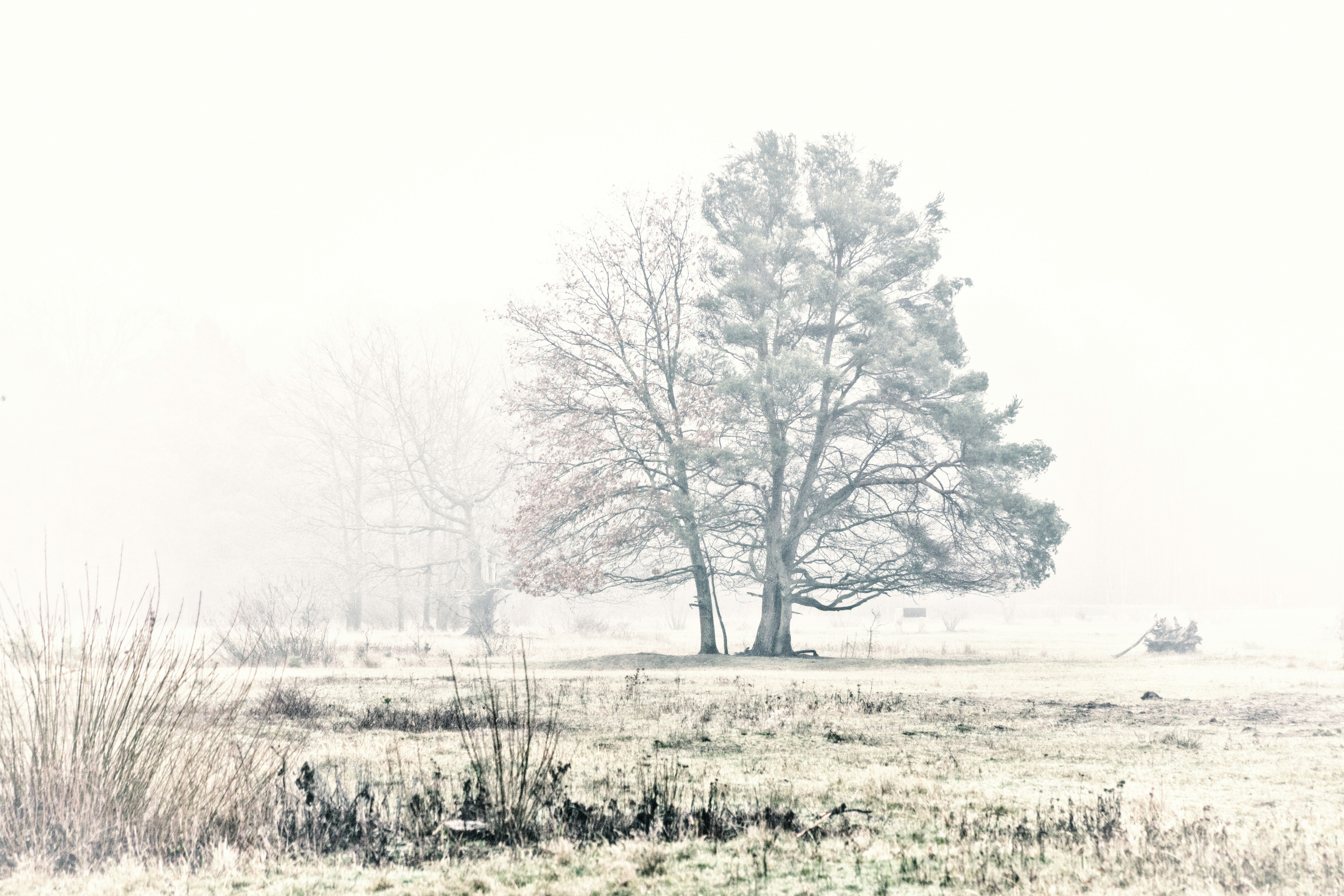 Free Unsplash photo from Peter Aschoff