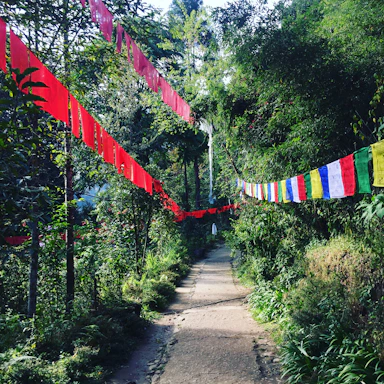 A serene temple courtyard bathed in golden light with saffron flags fluttering gently.