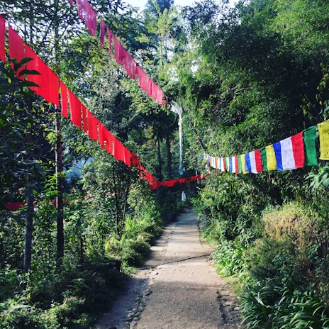 A serene temple courtyard bathed in soft morning light, with monks tending to vibrant prayer flags.