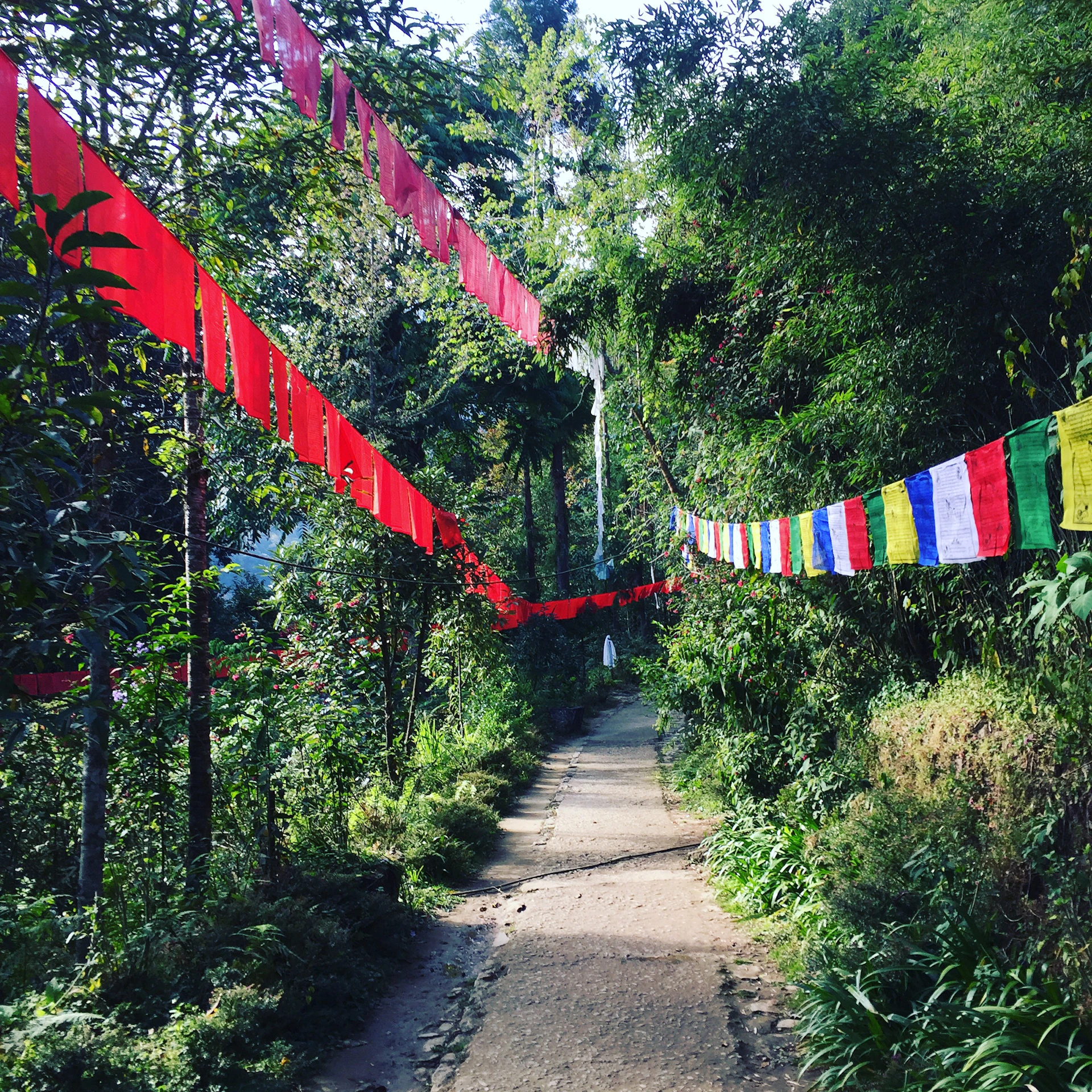 Pilgrims walking along a serene trail towards Om Parvat, framed by prayer flags fluttering gently in the mountain breeze.