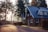 A cozy suburban house made of wood sits along a paved driveway, surrounded by trees. Sunlight filters through the branches, casting warm light and shadows. The house has a gabled roof with large windows, and a flag is visible near the entrance.