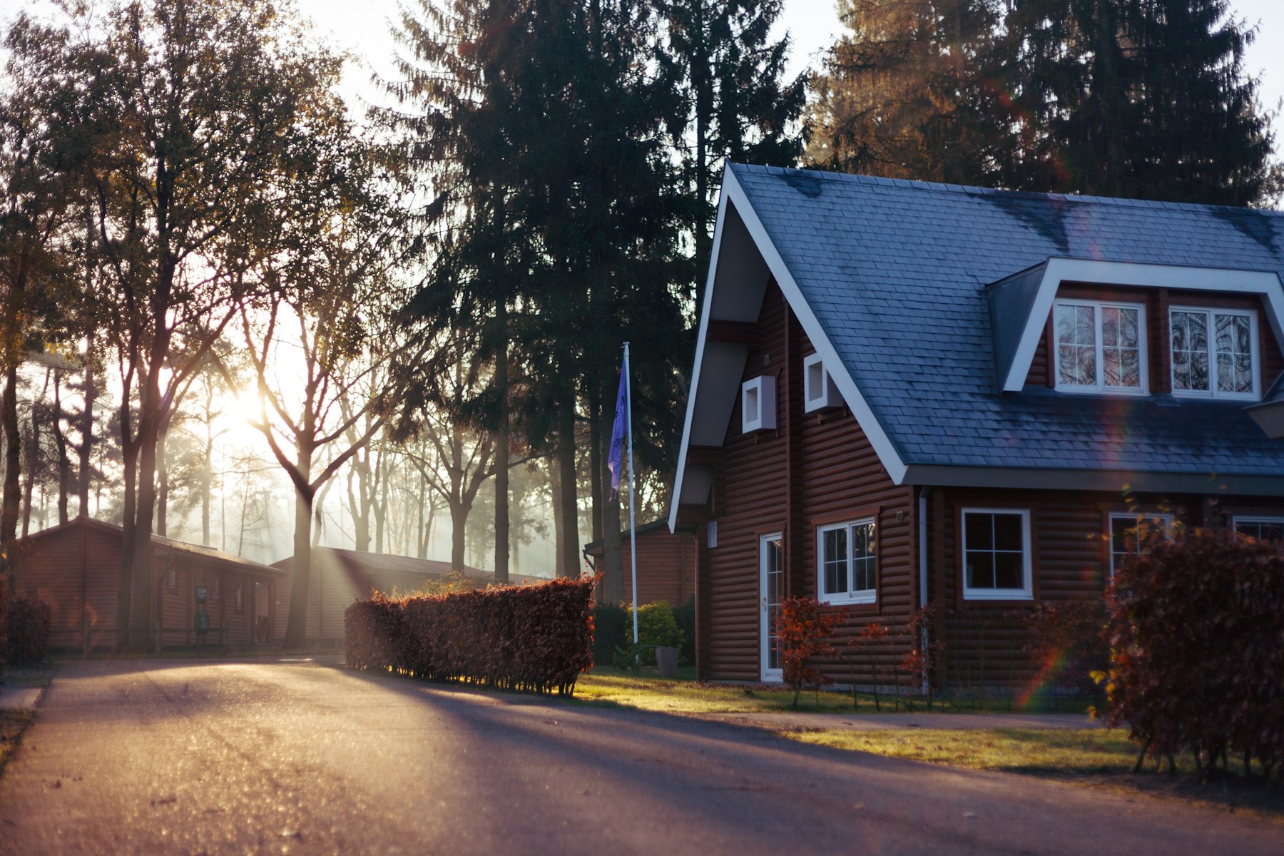 Suburban neighborhood street at sunset