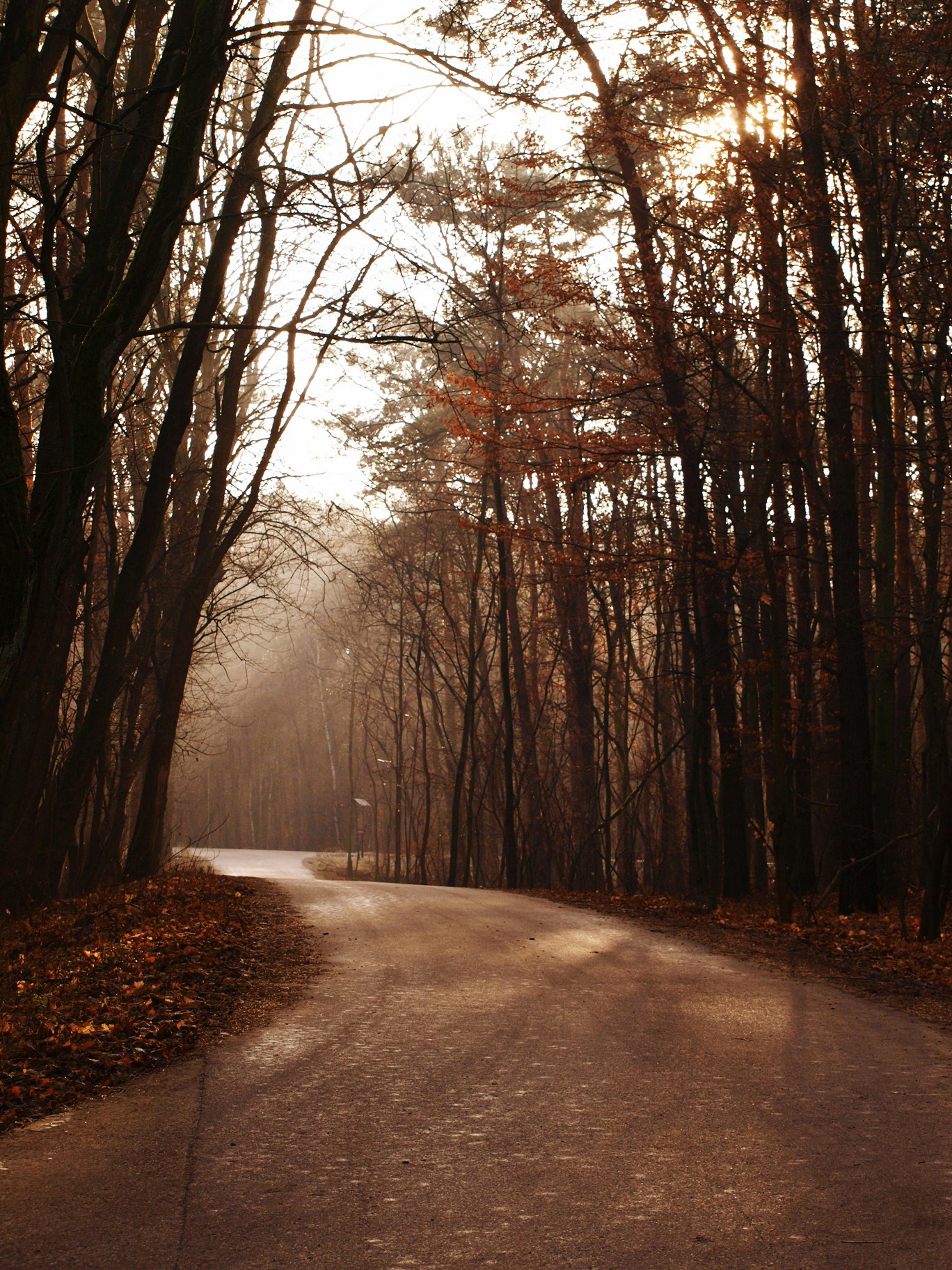 Free Unsplash photo from Alicja Koczaska