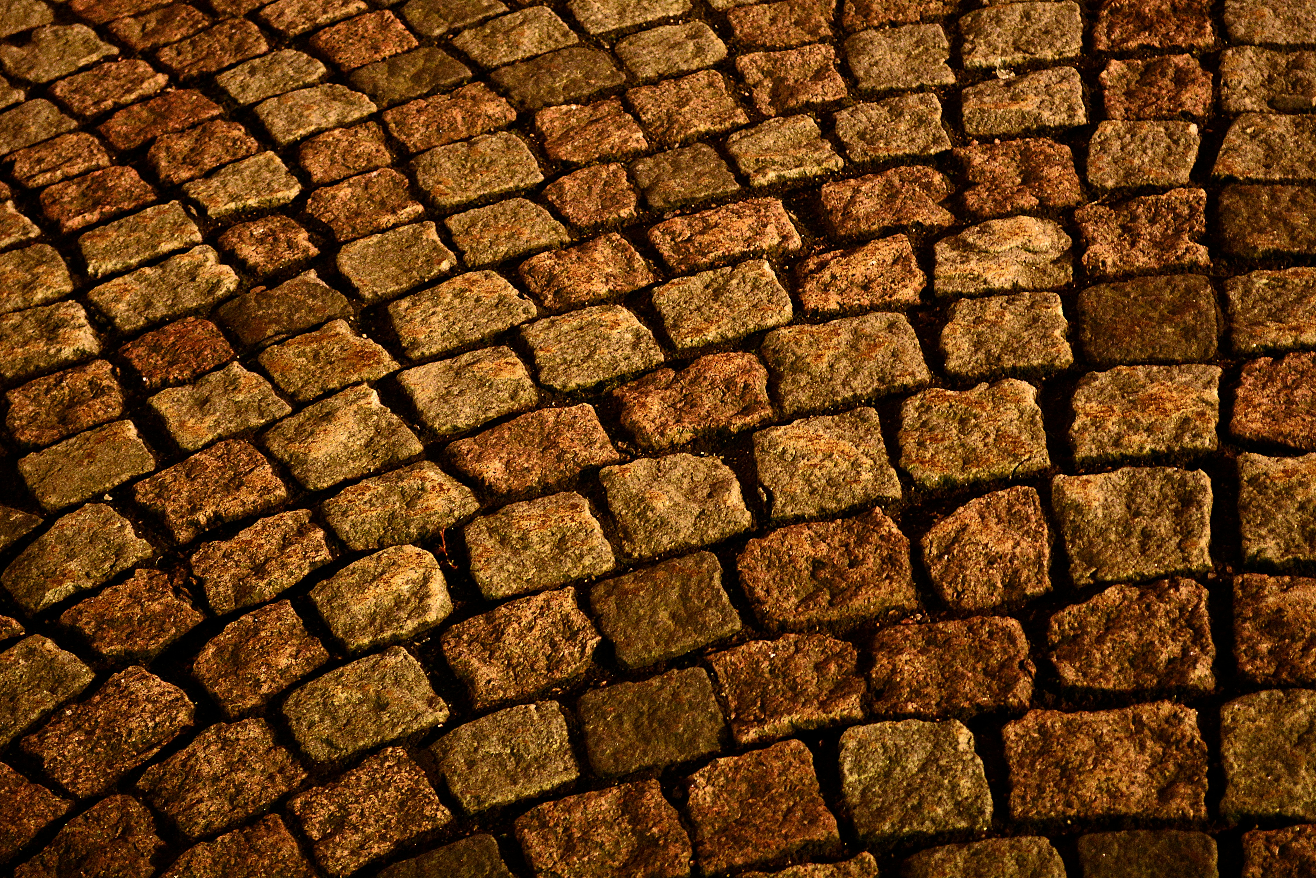 Free Unsplash photo from Margarita Batysheva