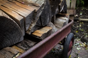 A pile of cut firewood stacked inside a red wagon set on a paved outdoor surface. The logs are positioned neatly, displaying their rough textures and natural grain patterns. The scene is surrounded by leaves scattered on the ground, suggesting an autumn setting.