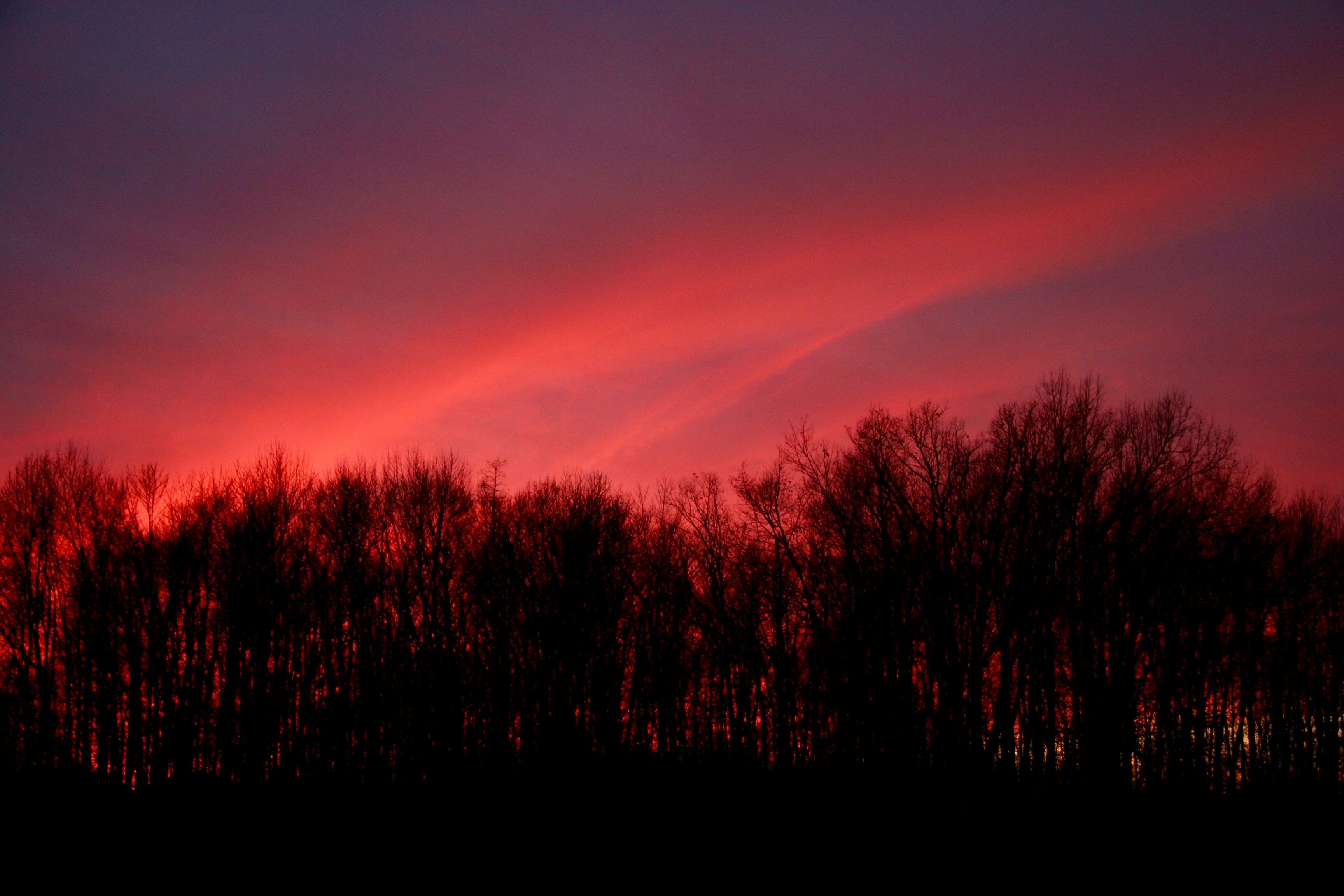 Free Unsplash photo from Maya Ilana