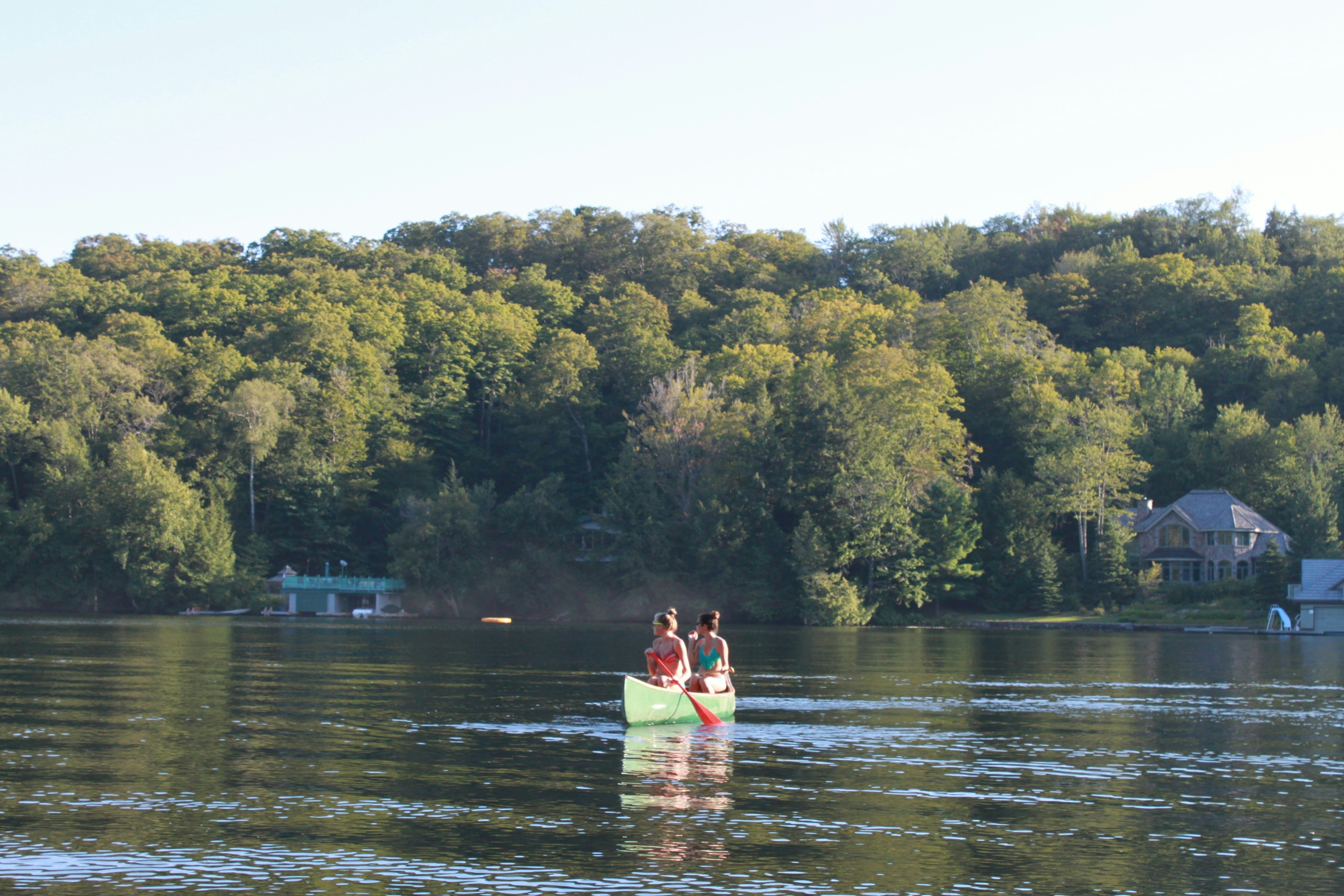 Free Unsplash photo from Maya Ilana