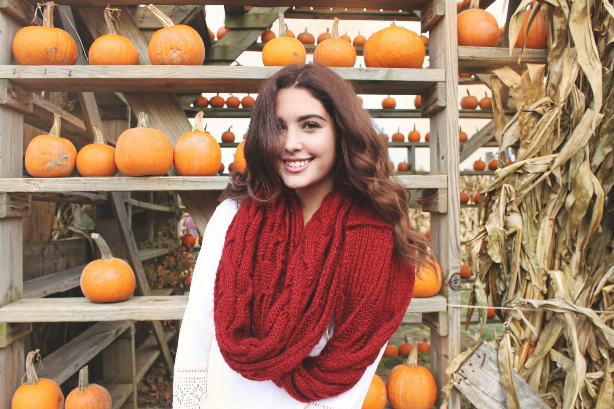 Free Unsplash photo from Maya Ilana