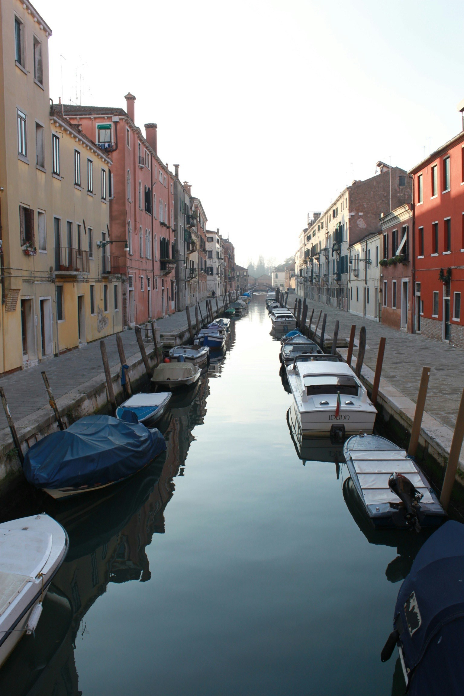 Free Unsplash photo from Maya Ilana