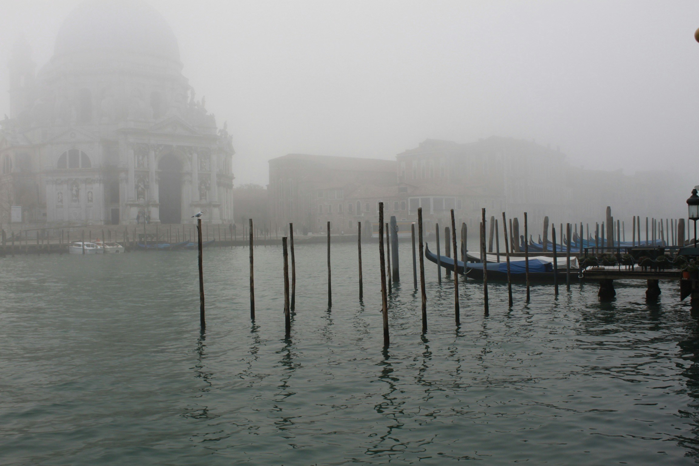 Free Unsplash photo from Maya Ilana