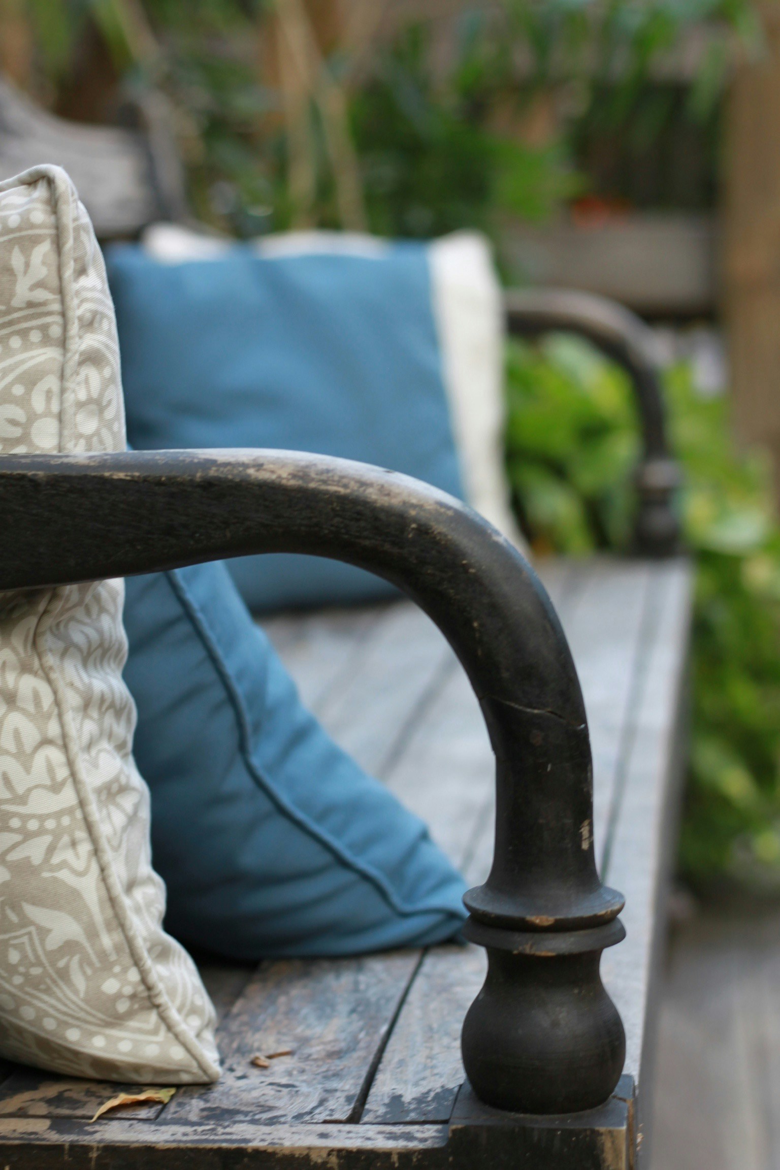 Free Unsplash photo from Maya Ilana