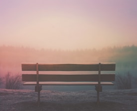 brown wooden bench in field