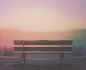 brown wooden bench in field
