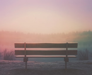 brown wooden bench in field