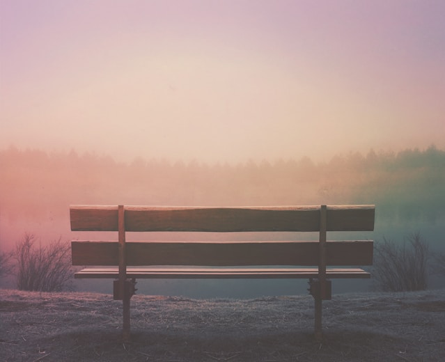 brown wooden bench in field