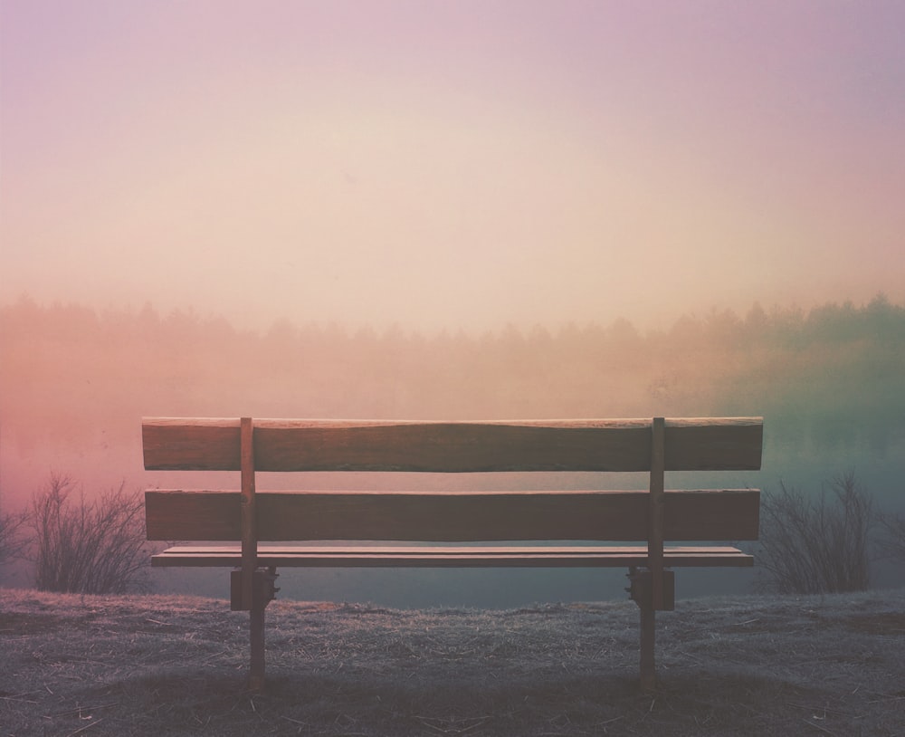 brown wooden bench in field