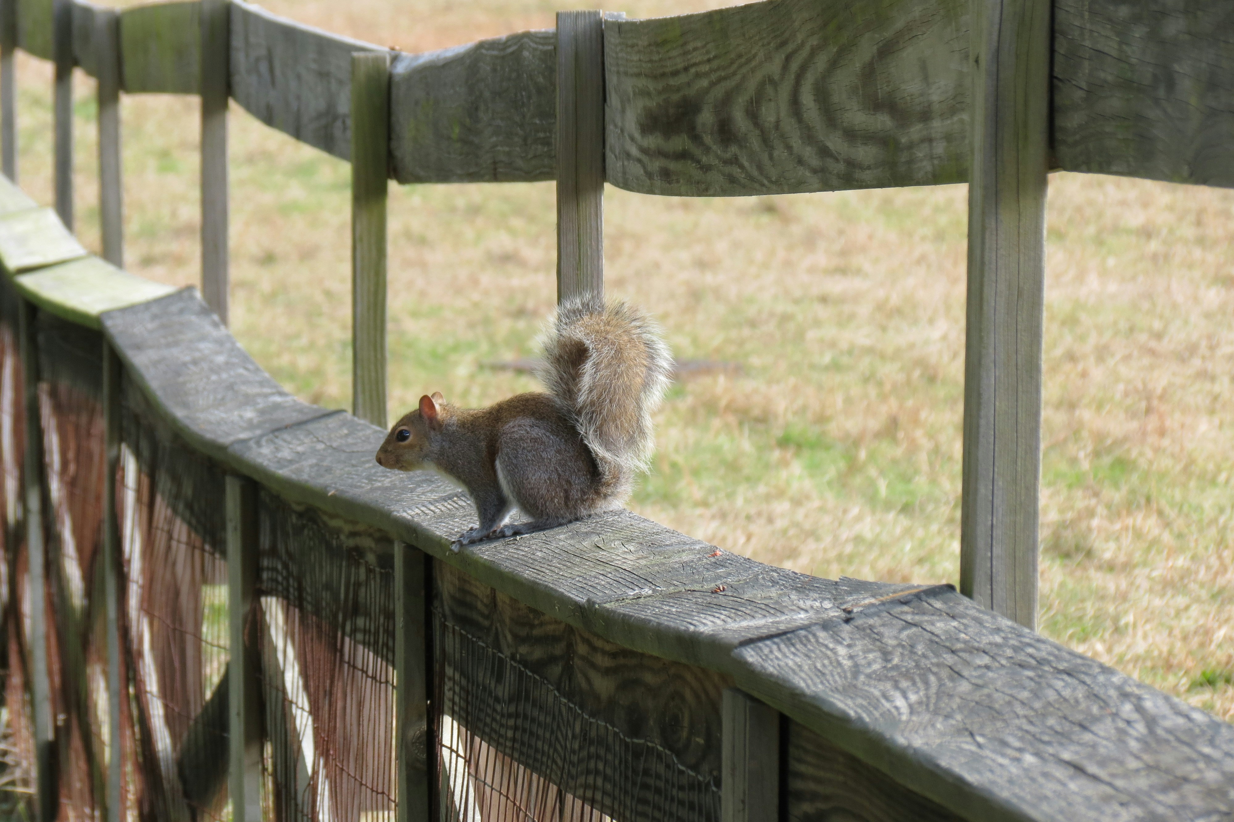 Free Unsplash photo from Meg Patrick