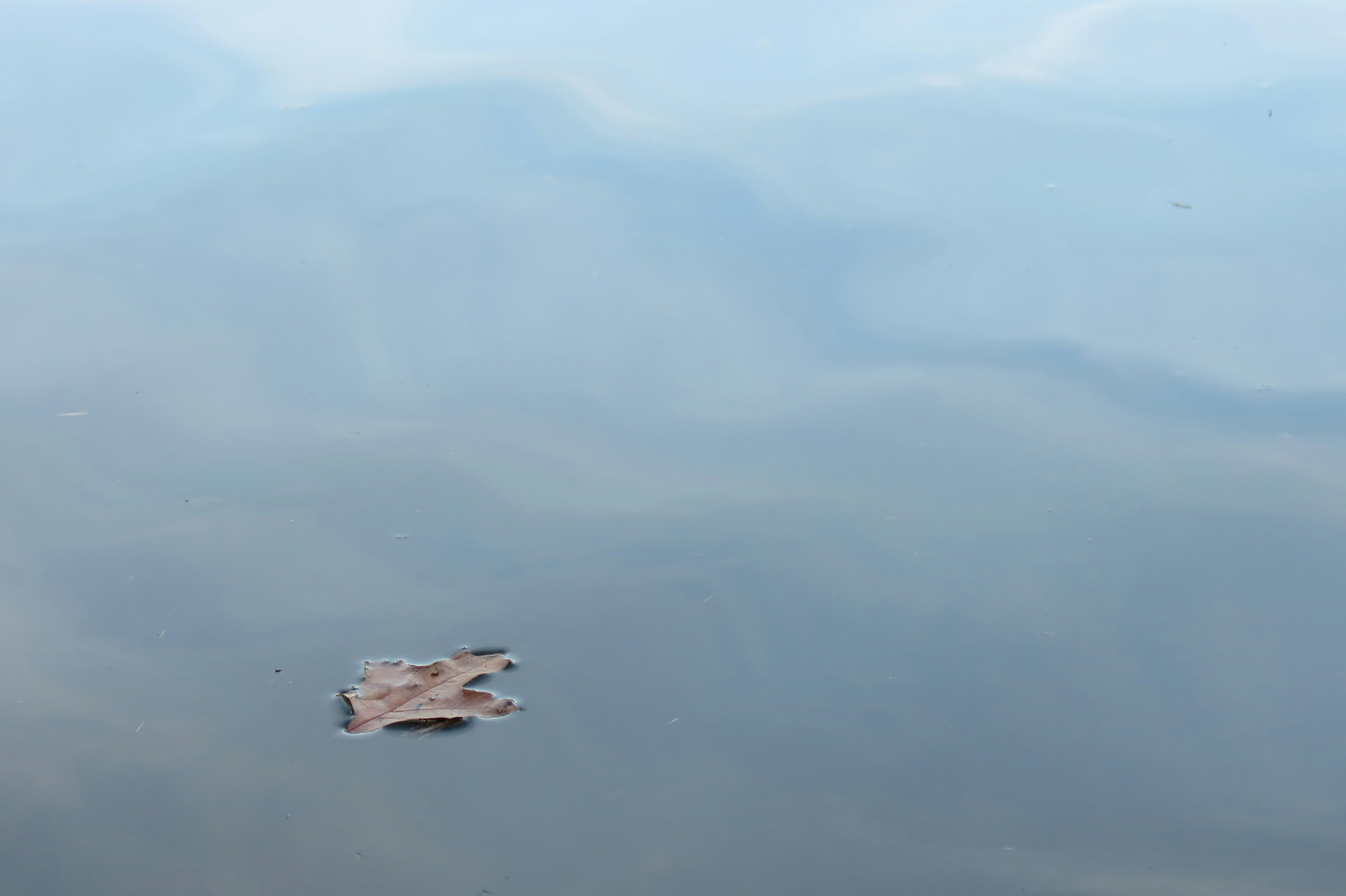 Free Unsplash photo from Meg Patrick