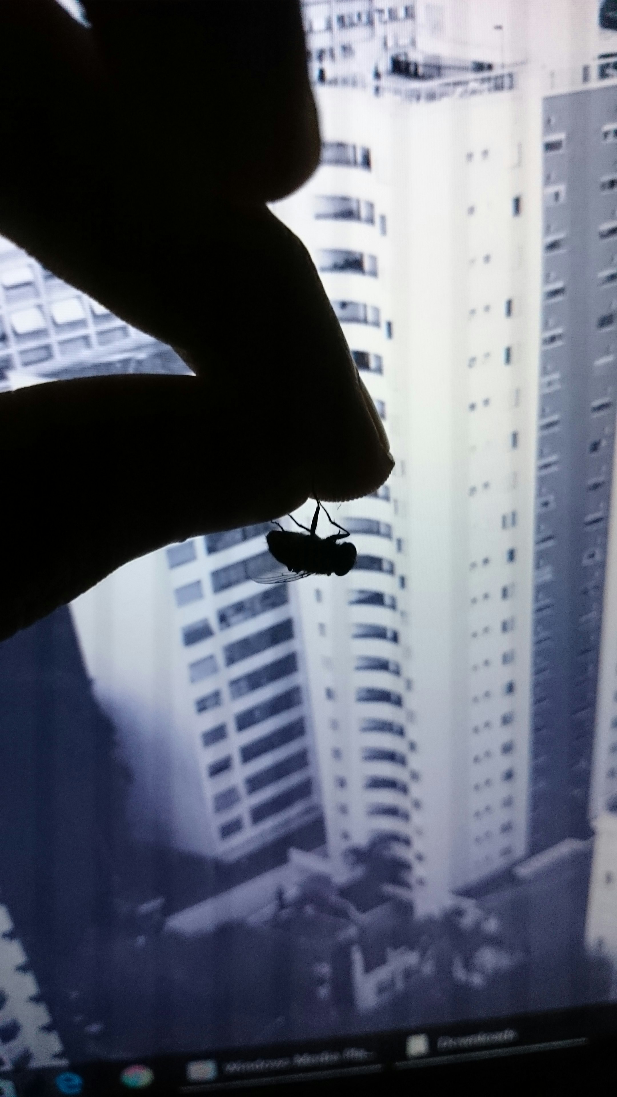 Free Unsplash photo from Gustavo Oliveira