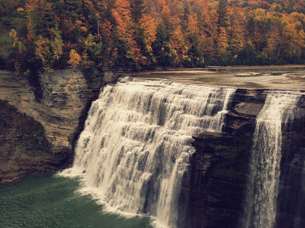 waterfalls near brown and green leaf trees