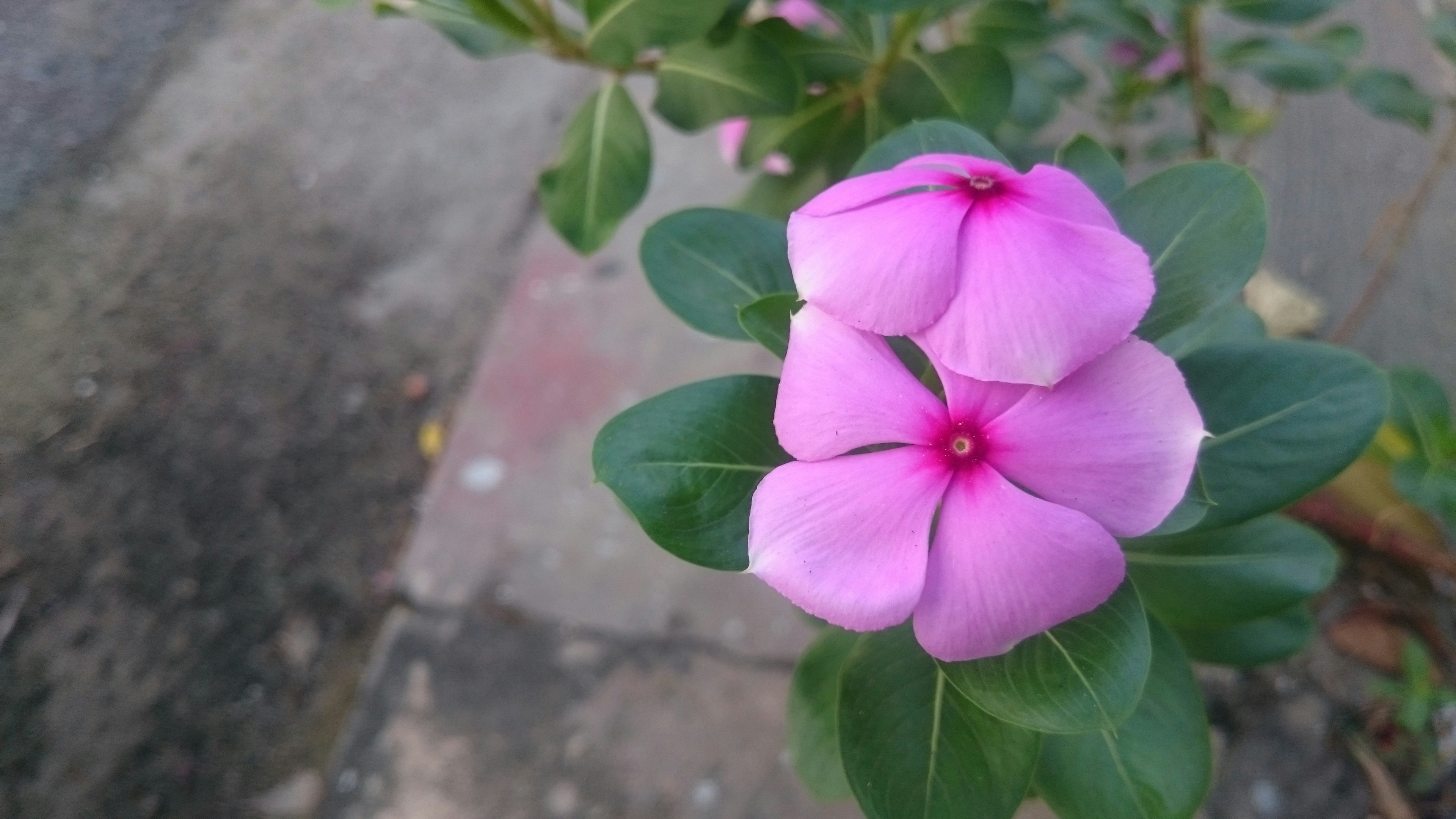 Free Unsplash photo from Binh Luong