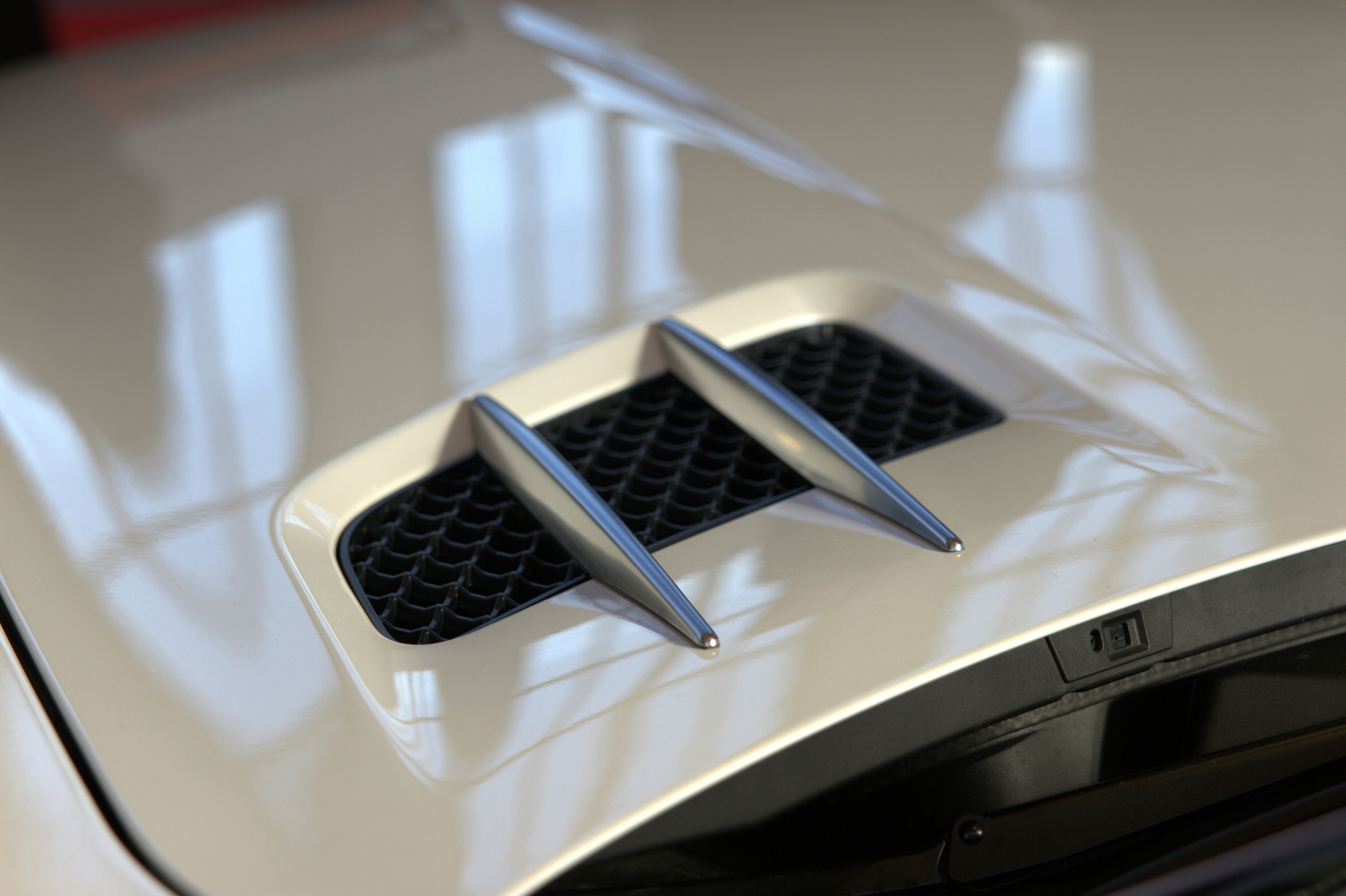 Free Unsplash photo from Carsten Scheler