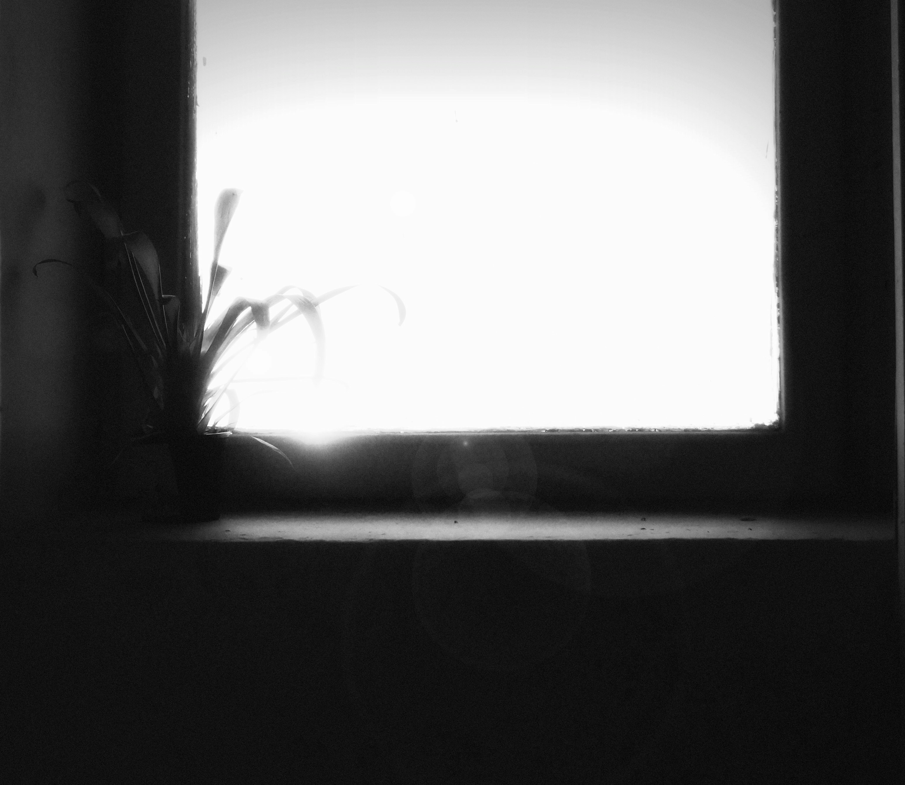 Free Unsplash photo from Margarita Batysheva