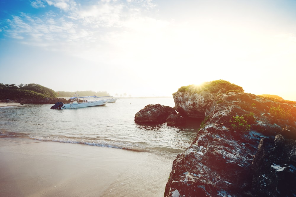 white boat near seashore during daytime