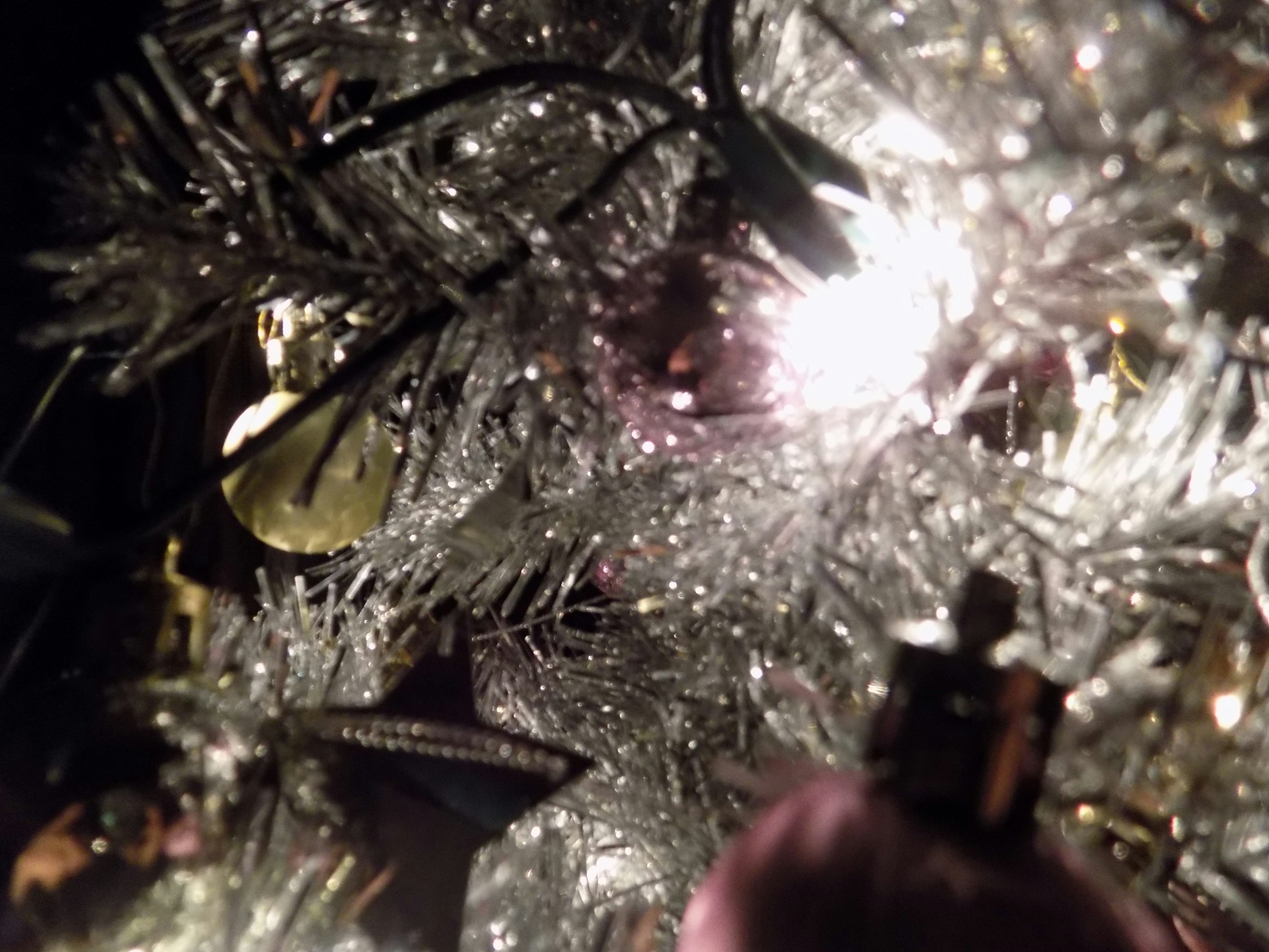 Free Unsplash photo from Abigai Gordo