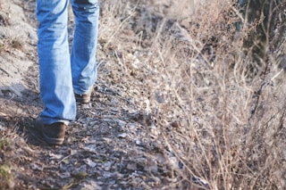 person walking