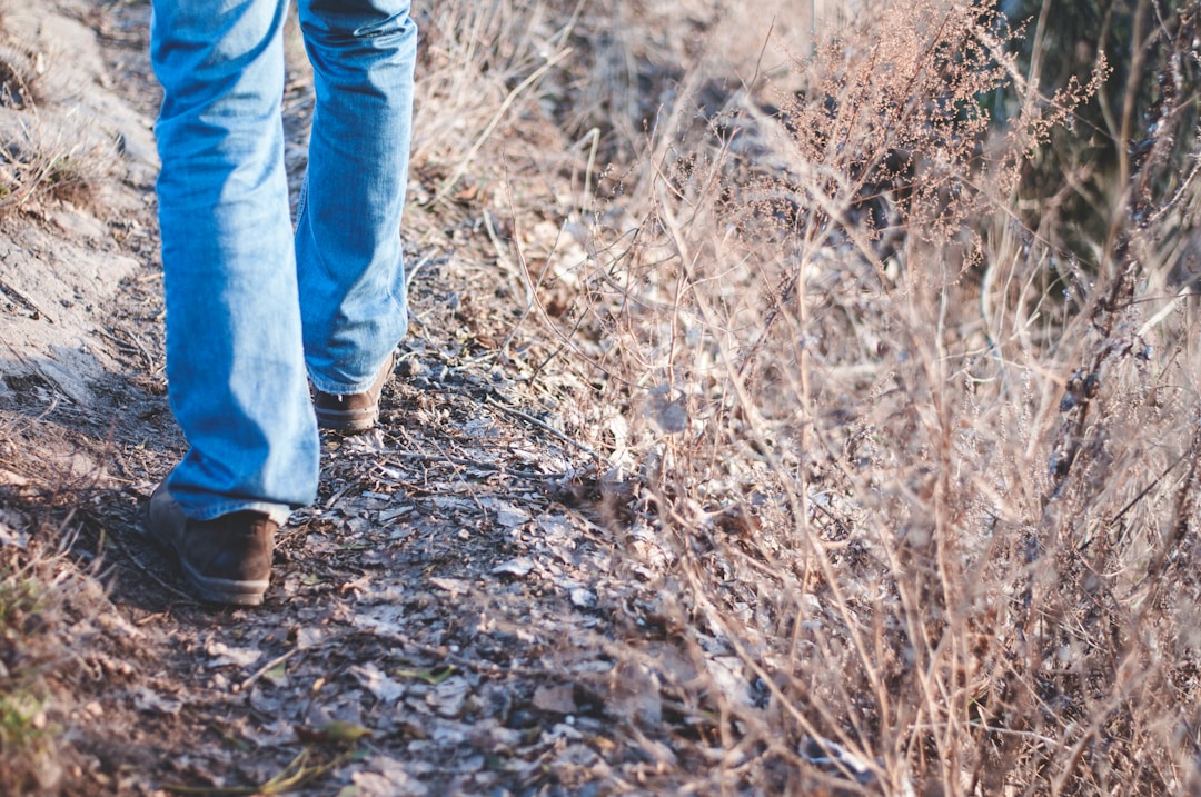 Person going for a walk