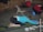 A person is practicing yoga on a mat in a child’s pose. The setting suggests an indoor space with chairs, yoga blocks, and other participants. In the background, a red bag and some personal items are visible.