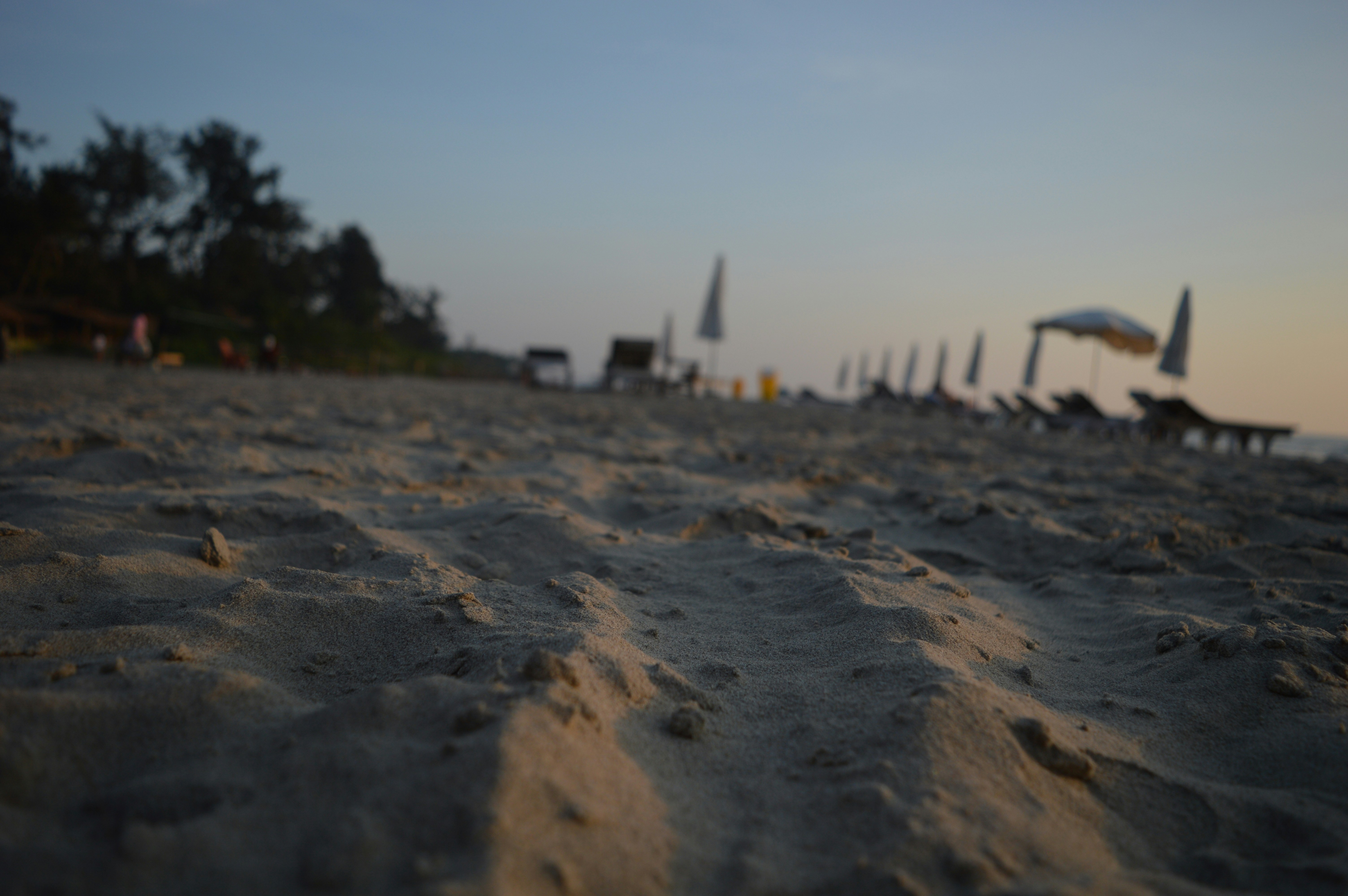 Free Unsplash photo from Daniel Cardoz