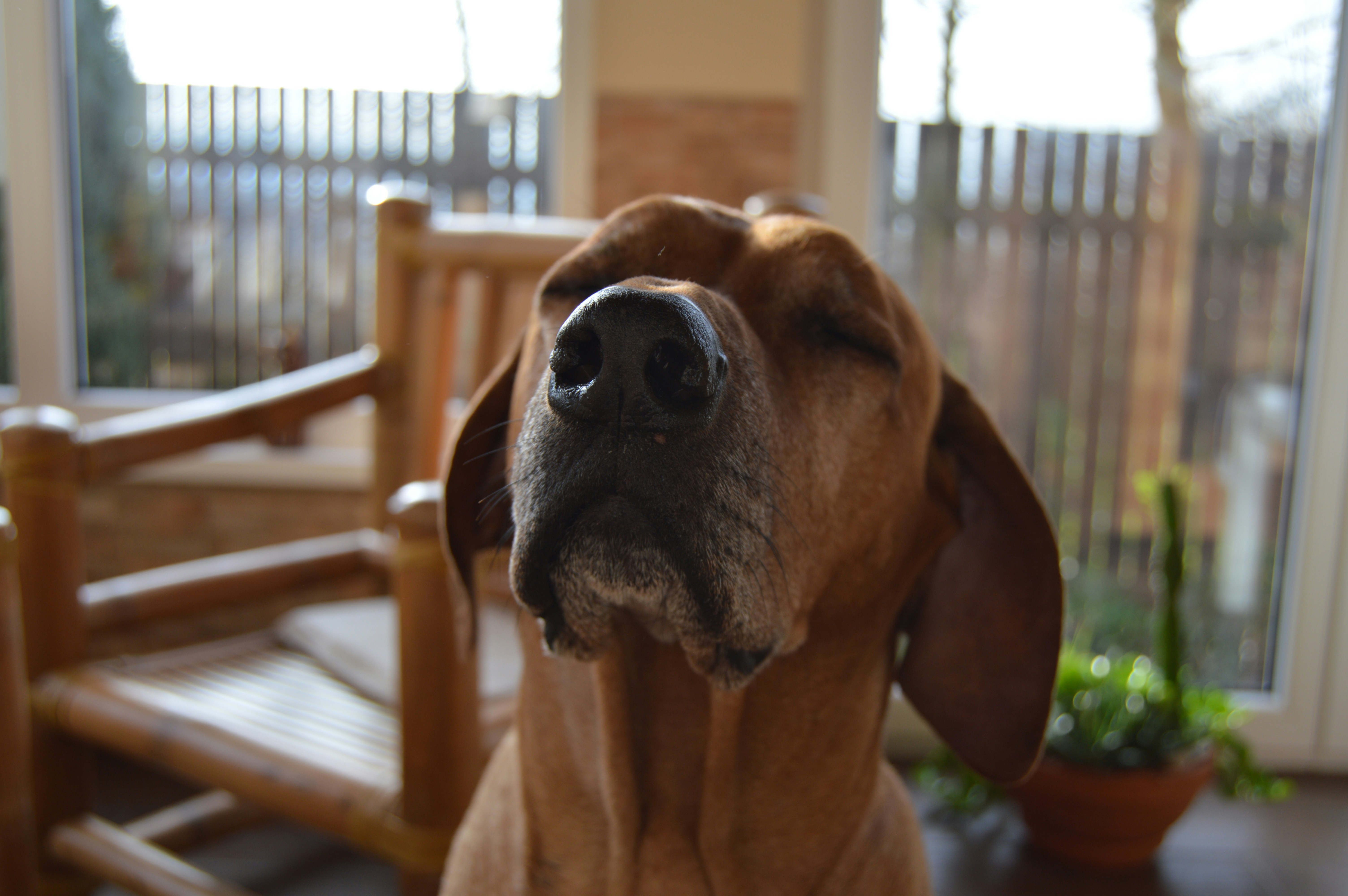 Free Unsplash photo from Adam Budínský