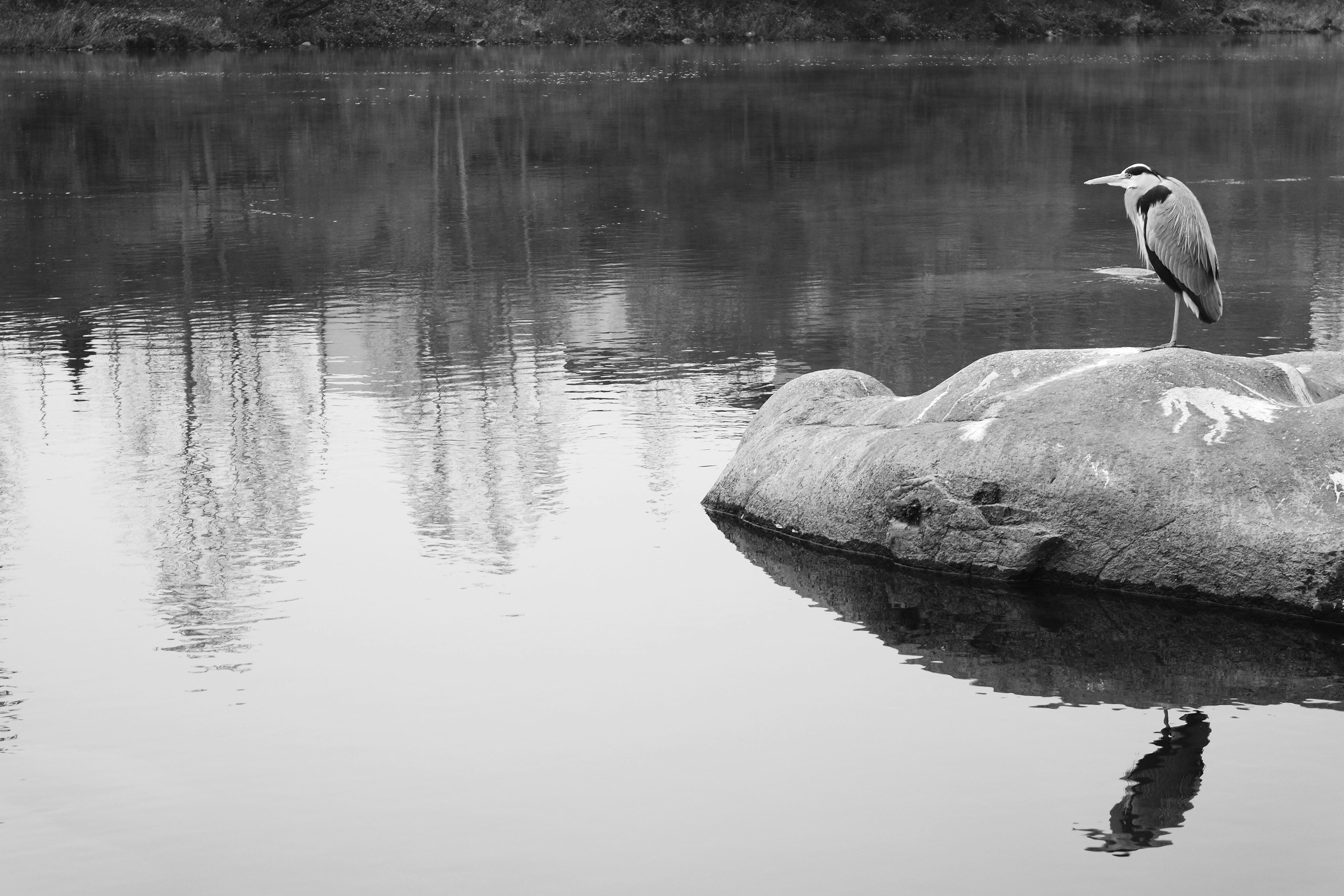 Free Unsplash photo from Inés Outumuro