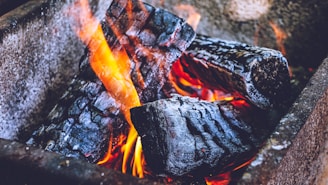 Detailed view of burning logs with charred black surfaces and bright orange flames in a concrete or stone fire pit.