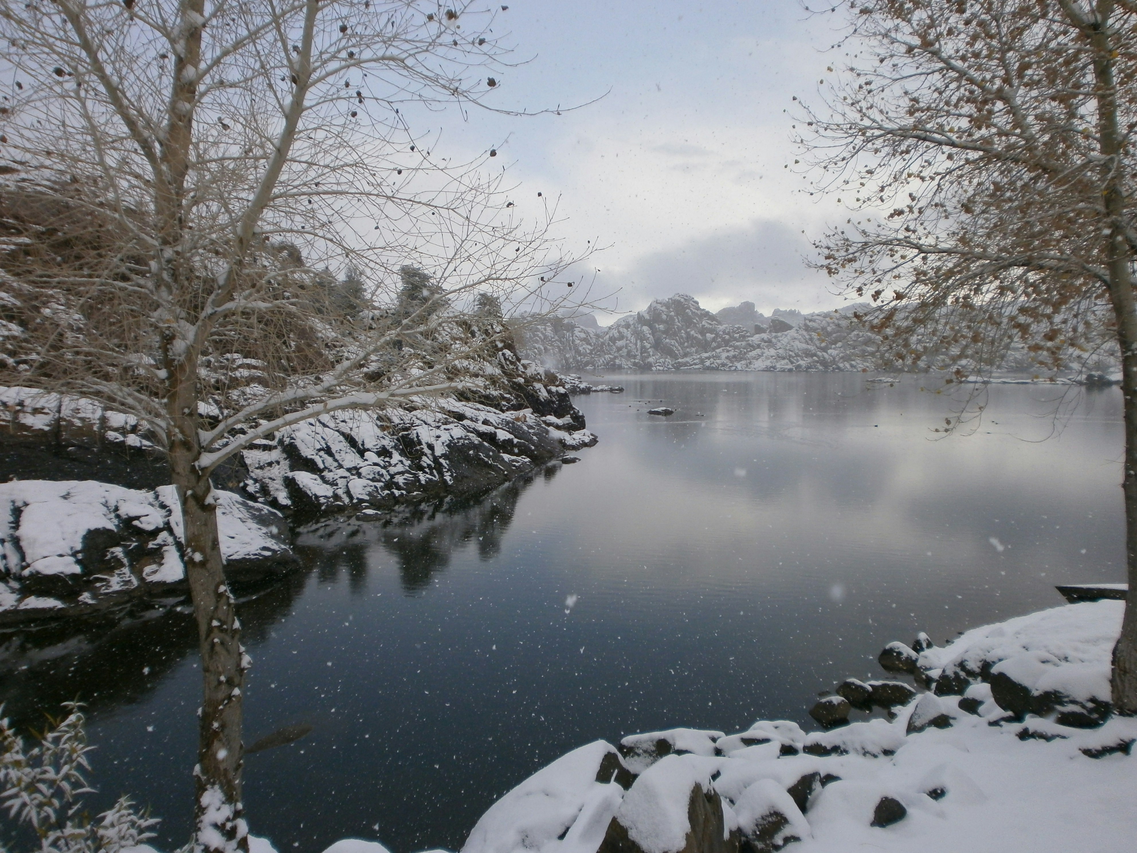 Free Unsplash photo from Michael Pollack