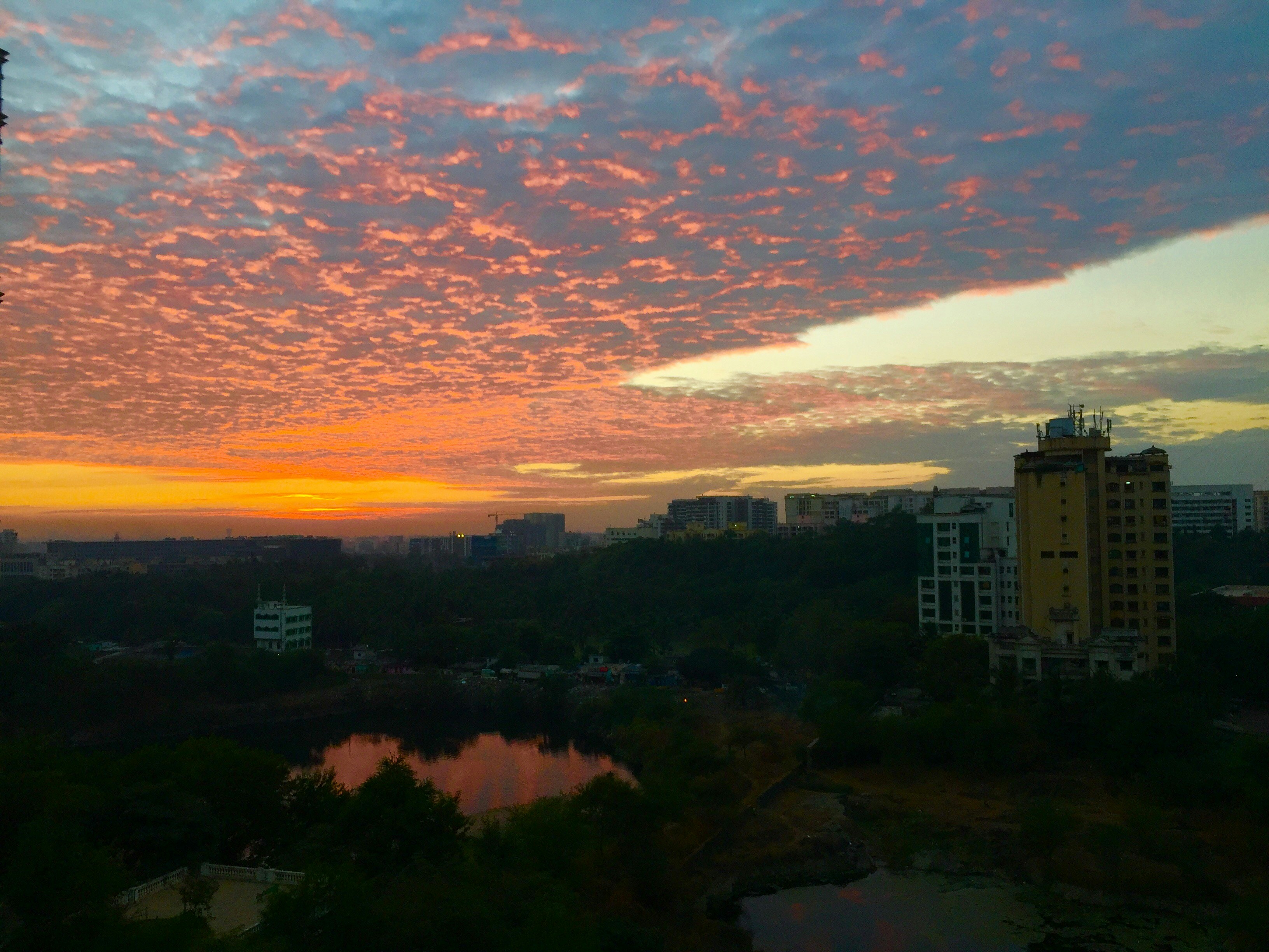 Free Unsplash photo from Rajat Jain