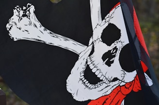 A pirate flag featuring a white skull and crossbones design on a black background. The skull is detailed with black eye sockets and a wide grin, accented by a red bandana.