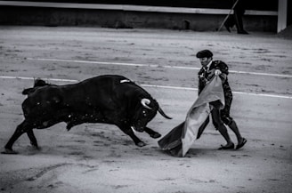 Close-up of a young midget torero preparing for the bullfight.