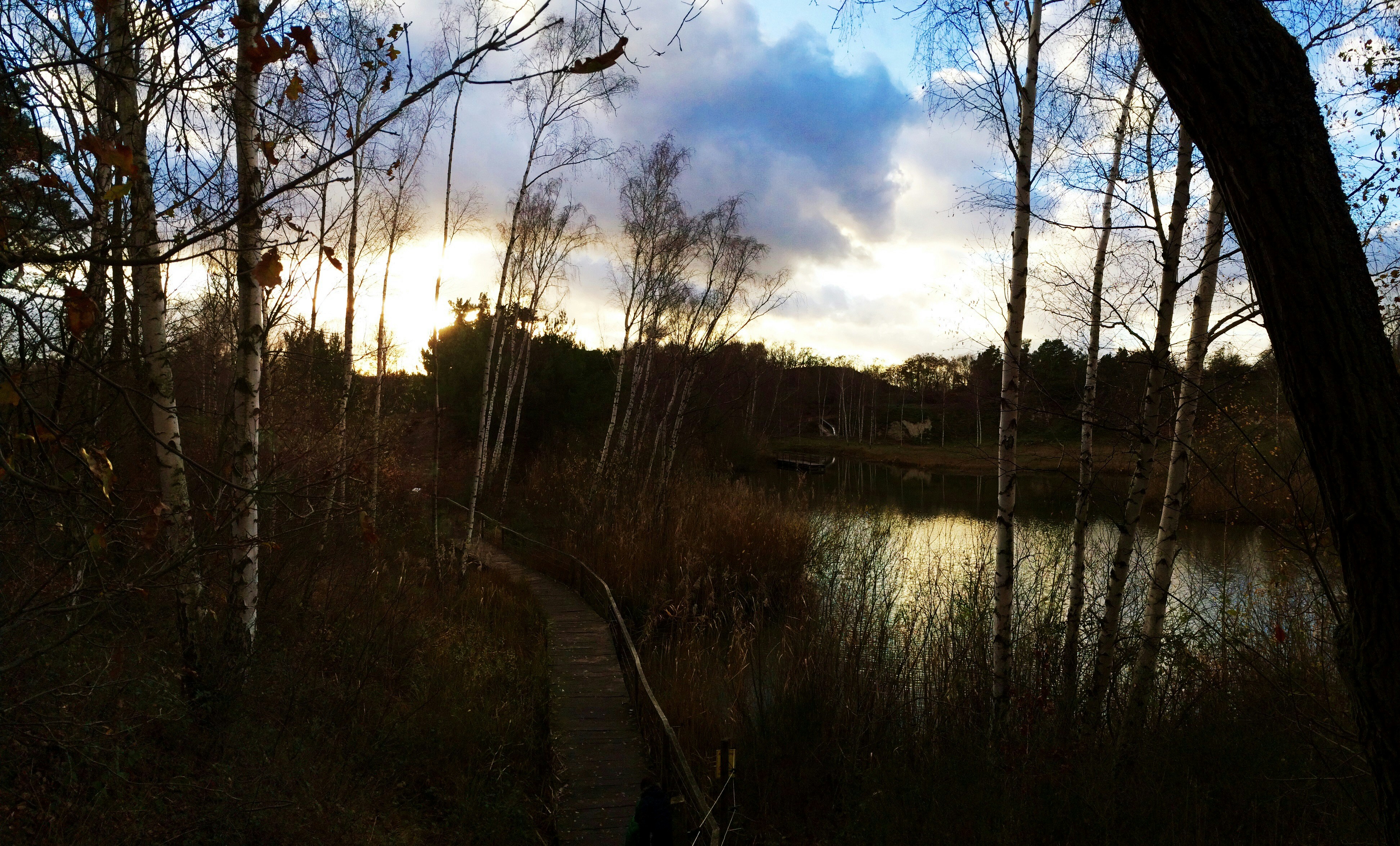 Free Unsplash photo from Sebastian Hammes