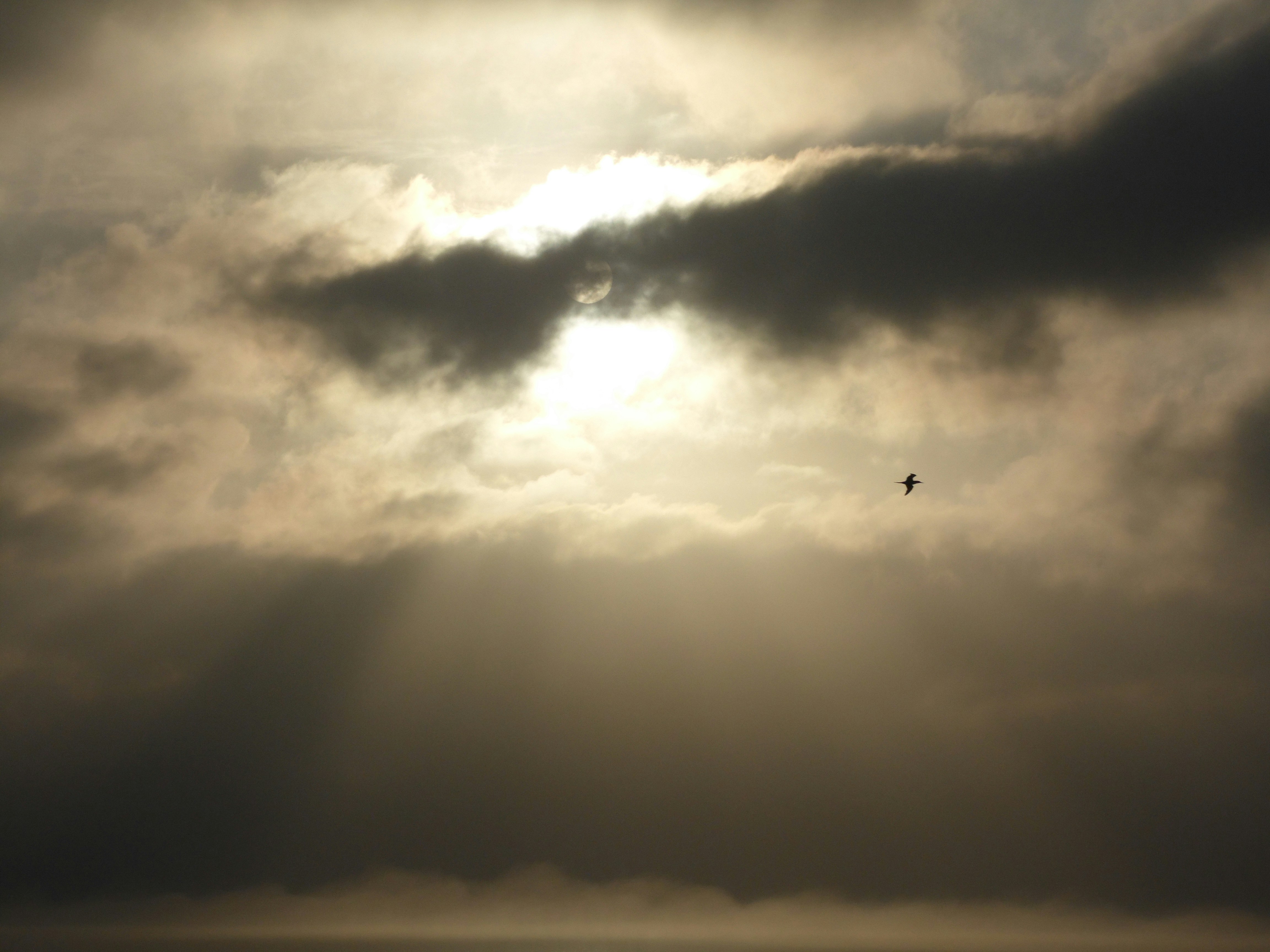 Free Unsplash photo from Claudia Comaru