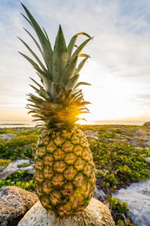 Sunrise over lush pineapple fields with volcanic peaks in the background.