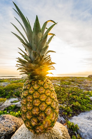Sunrise over lush pineapple fields with volcanic peaks in the background.