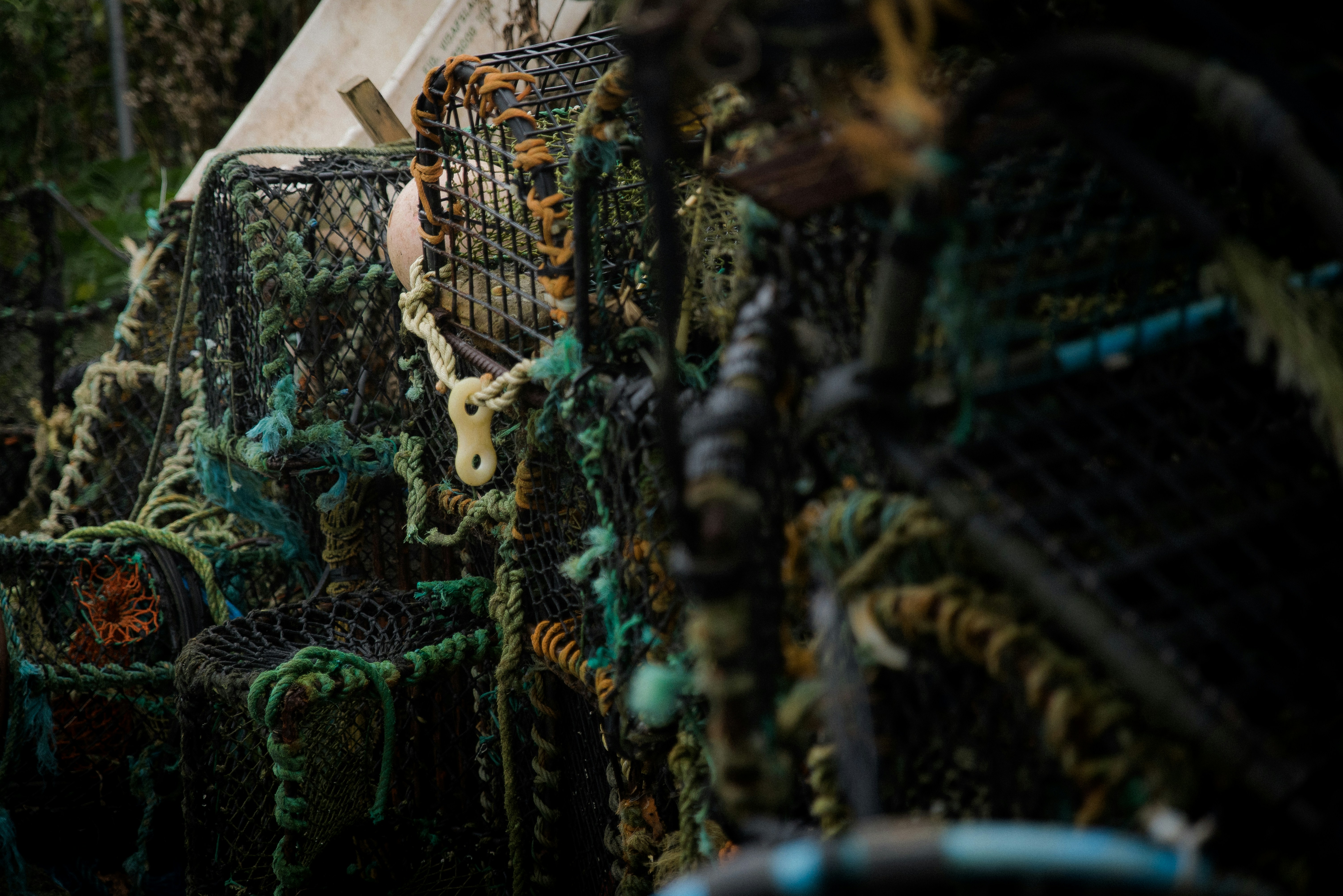 Free Unsplash photo from Chris de Bruine